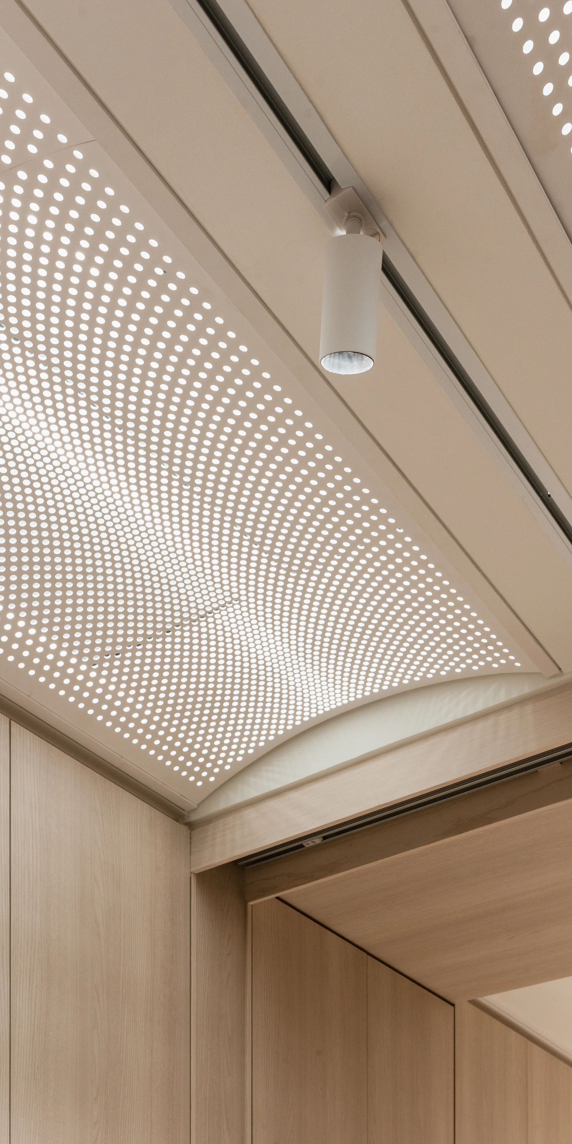 A close-up view of a curved white perforated ceiling panel with a track spotlight next to vertical light wood wall paneling.