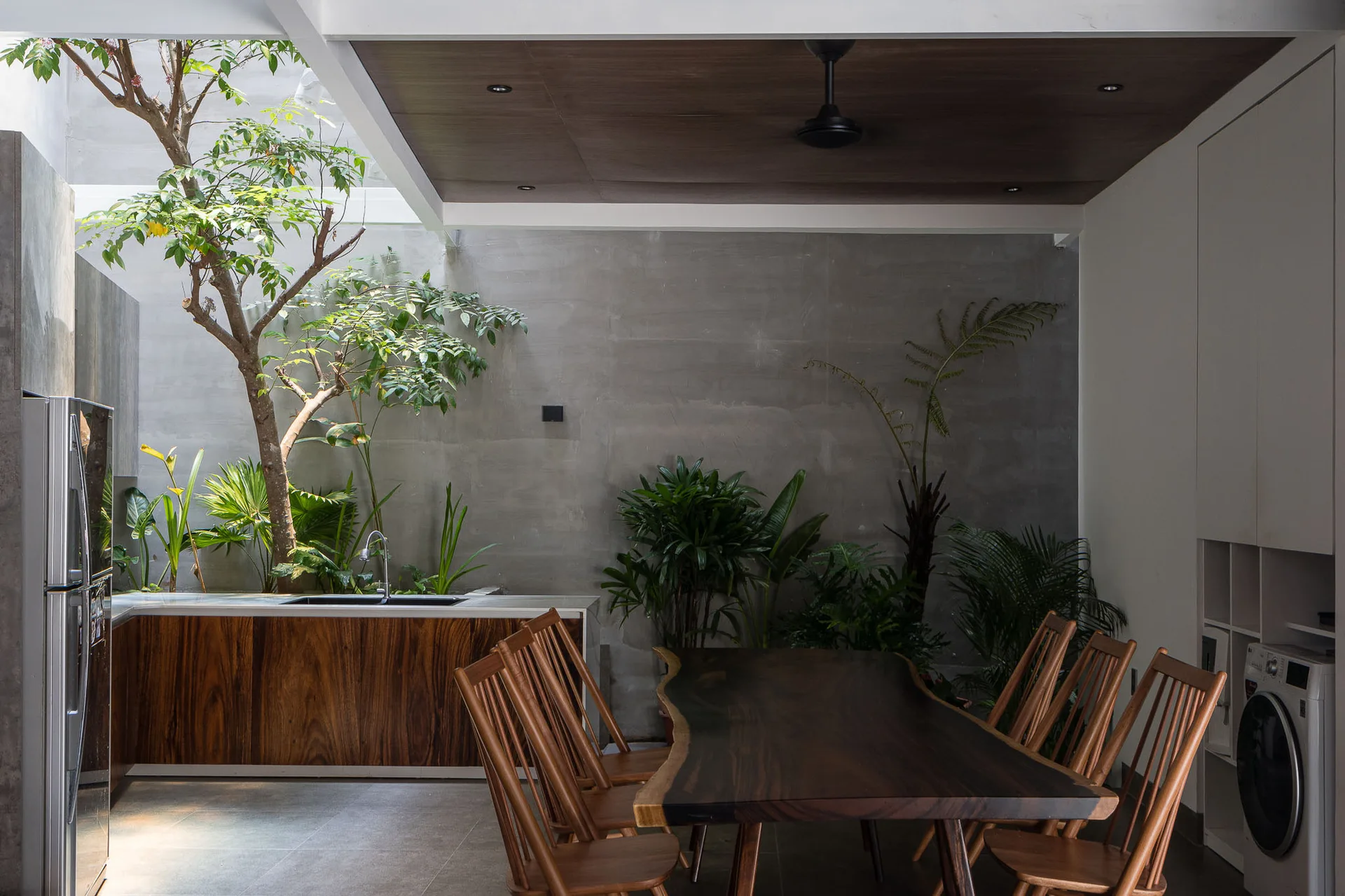 A modern dining room features a live-edge wood table and chairs next to an open-air indoor courtyard filled with green tropical plants.