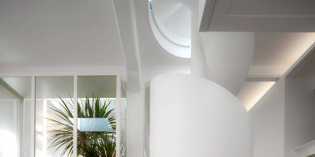 A minimalist interior with a curved white spiral staircase next to a glass partition housing a green leafy plant under soft natural light.