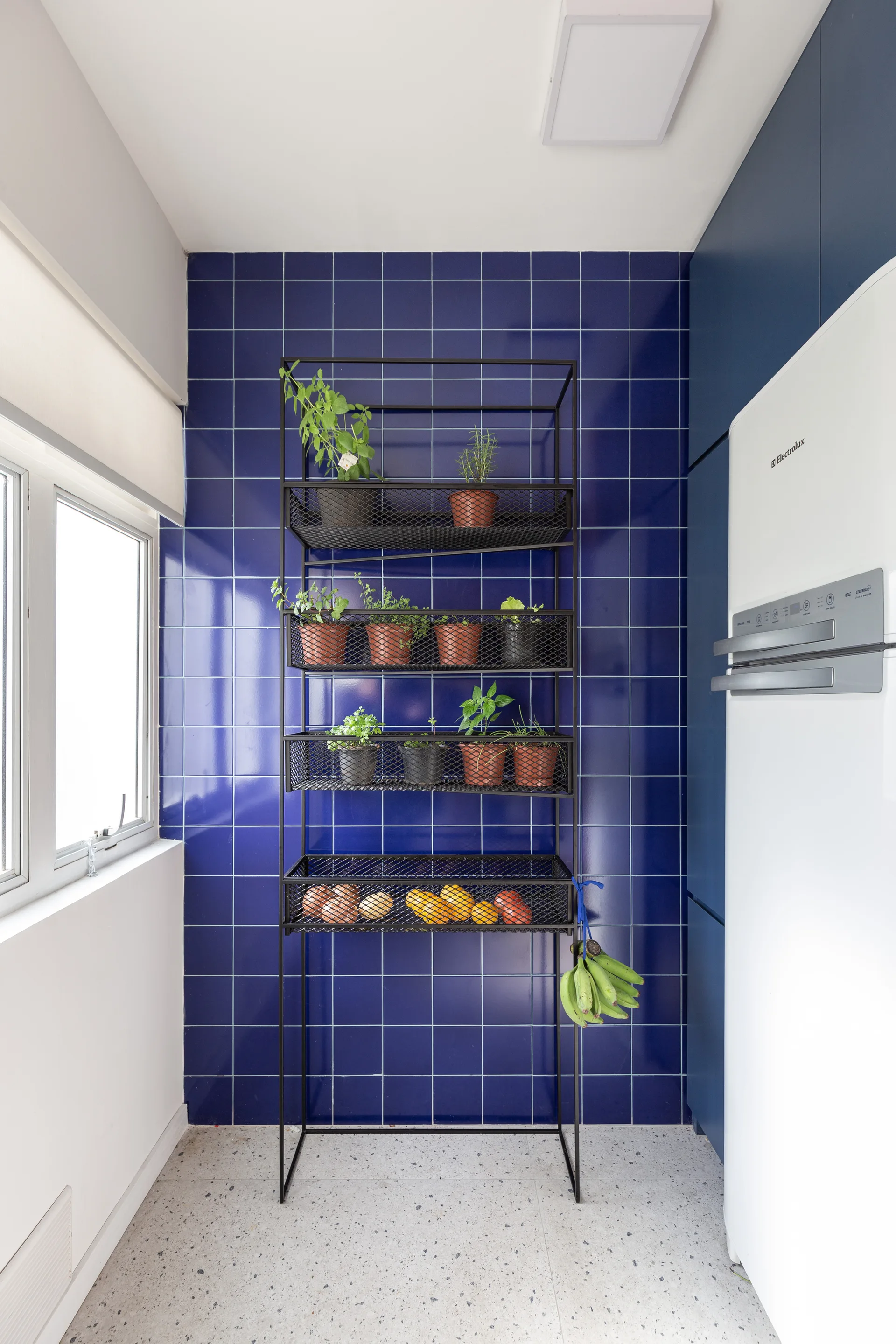 A black metal wire shelving unit holds potted plants and produce against a glossy cobalt blue tiled wall in a kitchen.