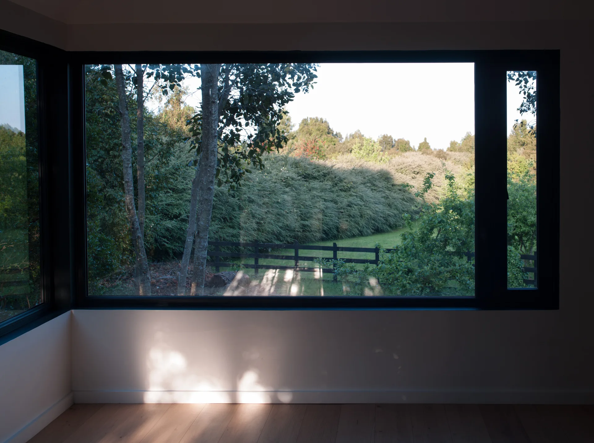A large black-framed picture window in a minimalist room with light wood floors overlooks a green lawn and trees.