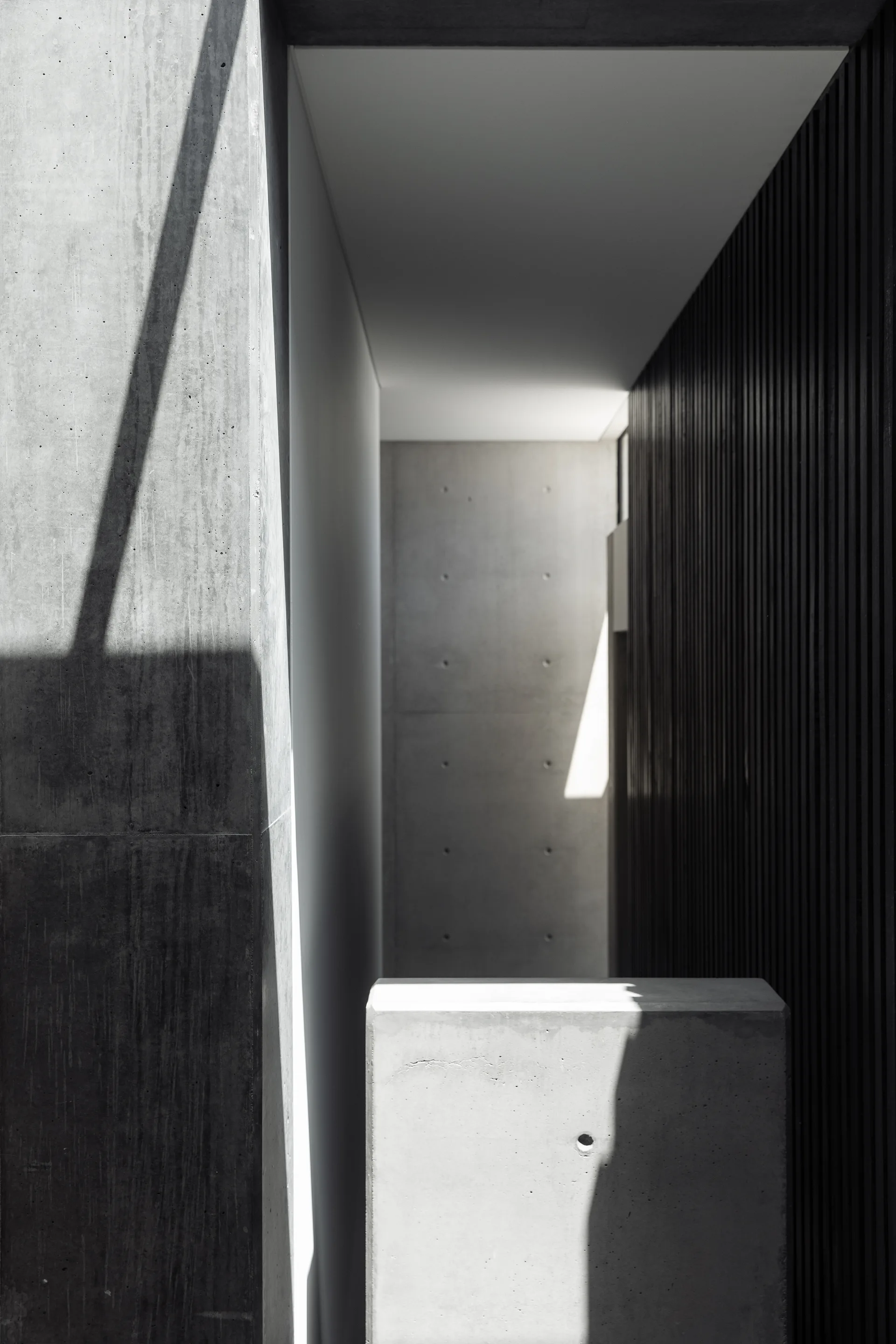 A minimalist hallway features exposed concrete walls and a dark vertical wood slat wall, with high-contrast sunlight casting sharp diagonal shadows.