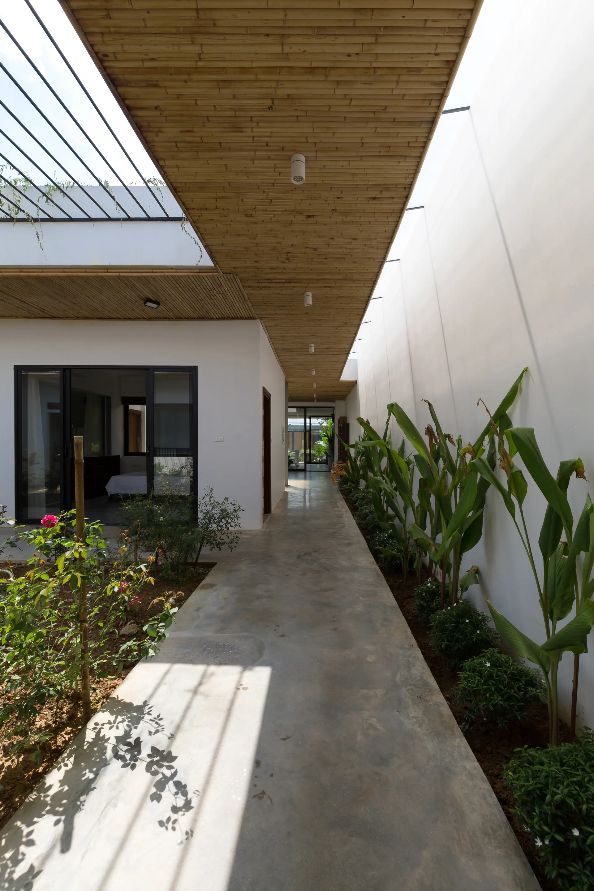 A long outdoor concrete walkway featuring a slatted bamboo ceiling, tall white walls, and a narrow garden bed with leafy green plants.