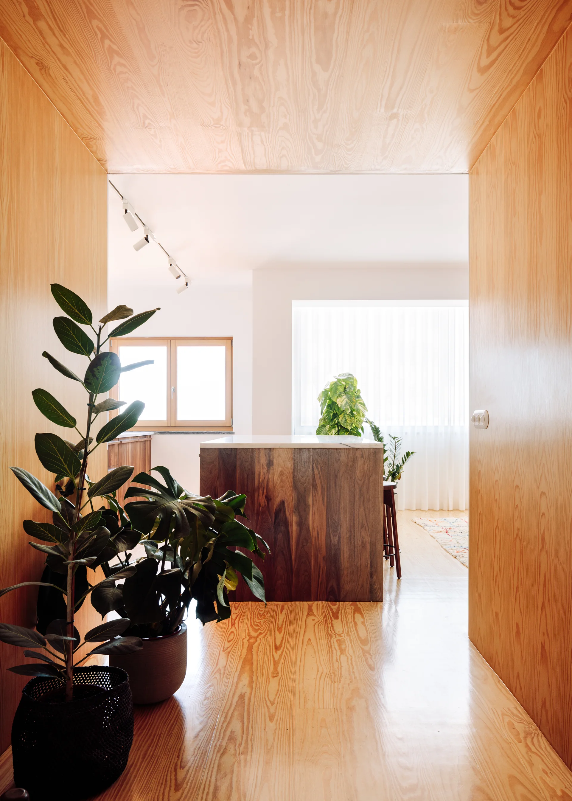 A view through a light wood-paneled entryway showing a bright kitchen with a dark wood island, white walls, and green potted plants.