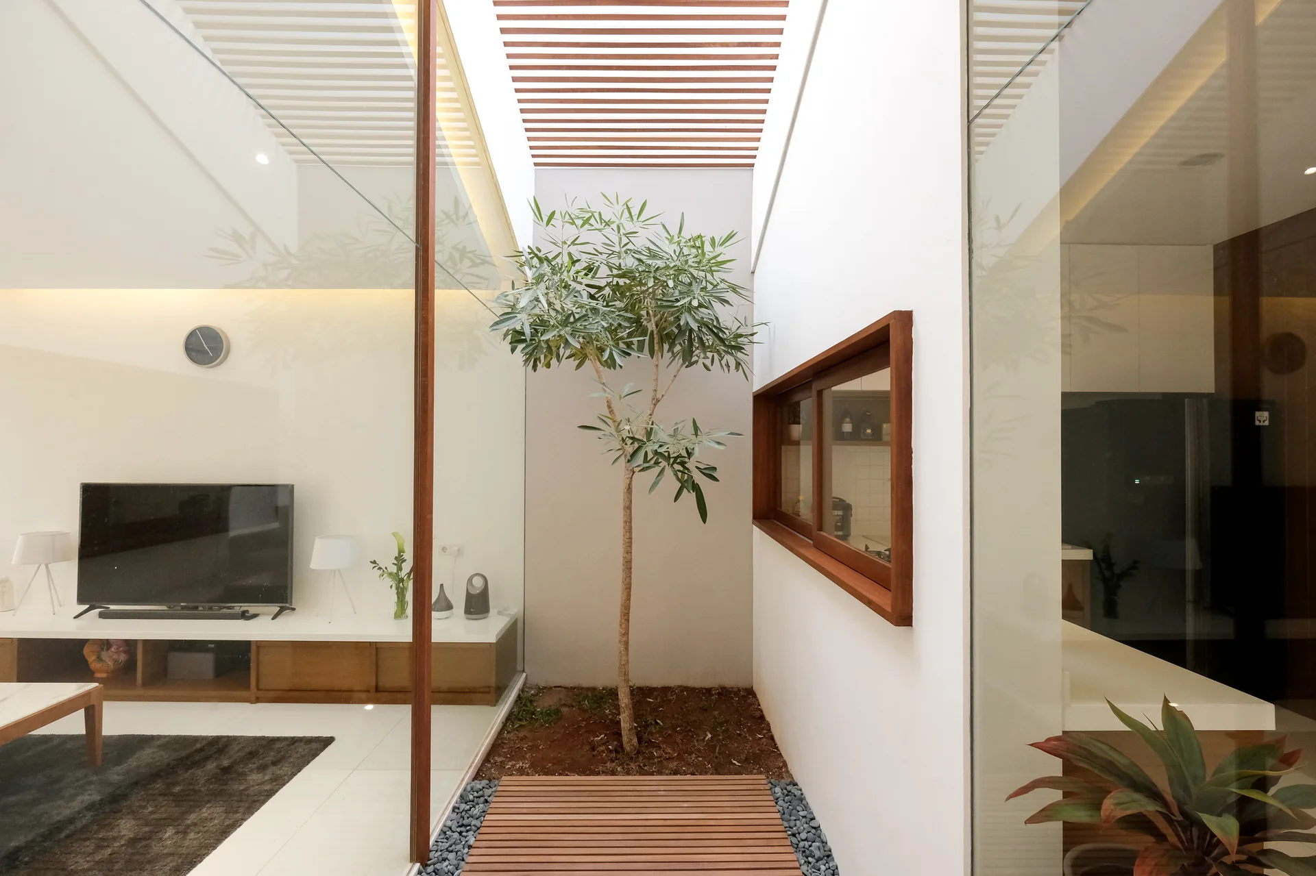 An indoor courtyard with a single tree and wood-slat skylight is visible through floor-to-ceiling glass walls next to a living room.