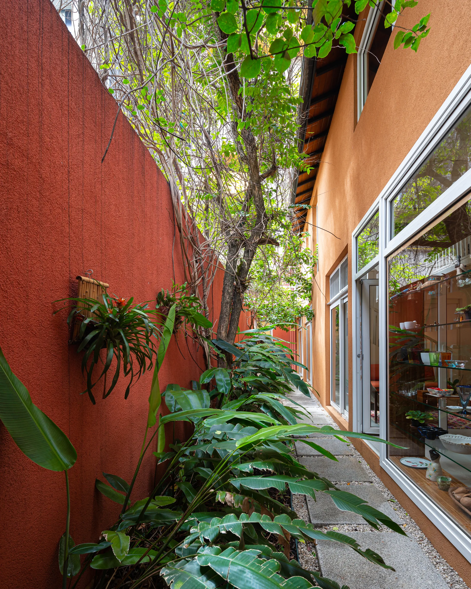A narrow stone paver walkway runs between a textured red stucco wall with lush green foliage and a mustard yellow house with large glass windows.