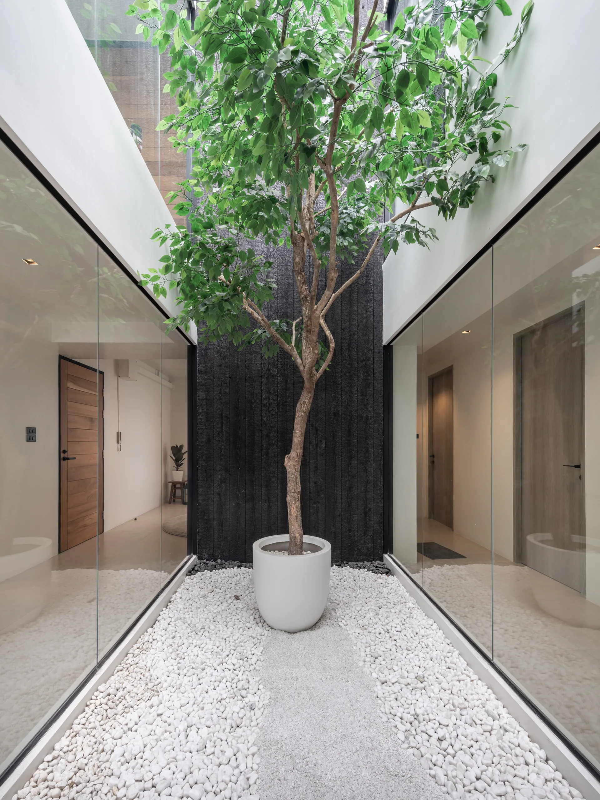 An interior courtyard featuring a central potted tree on white pebbles, bordered by glass walls and a dark textured feature wall.