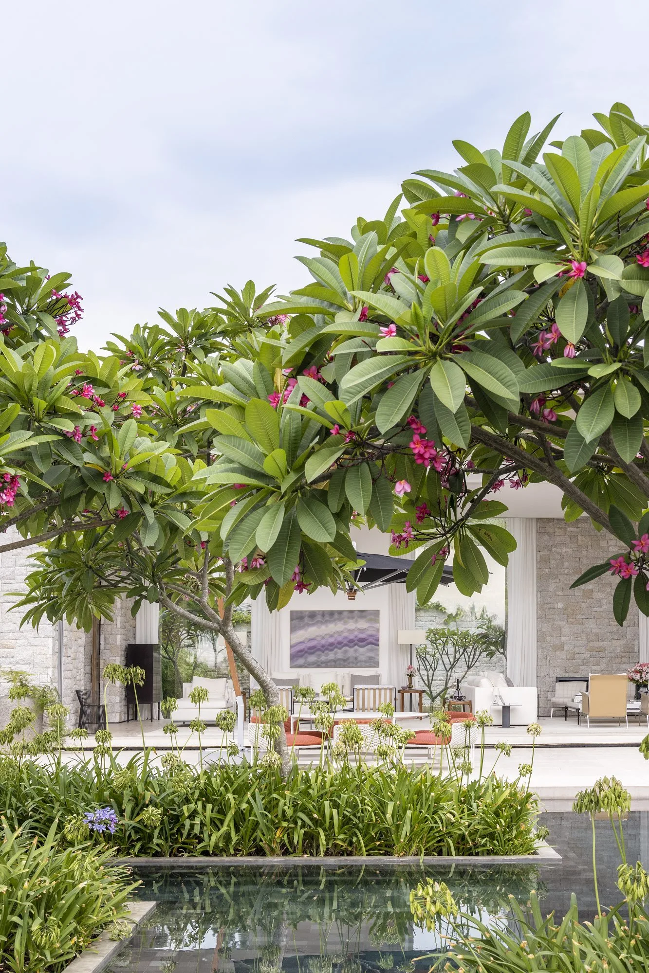 An outdoor patio lounge with white seating and stone walls is framed by blooming plumeria trees next to a reflective swimming pool.