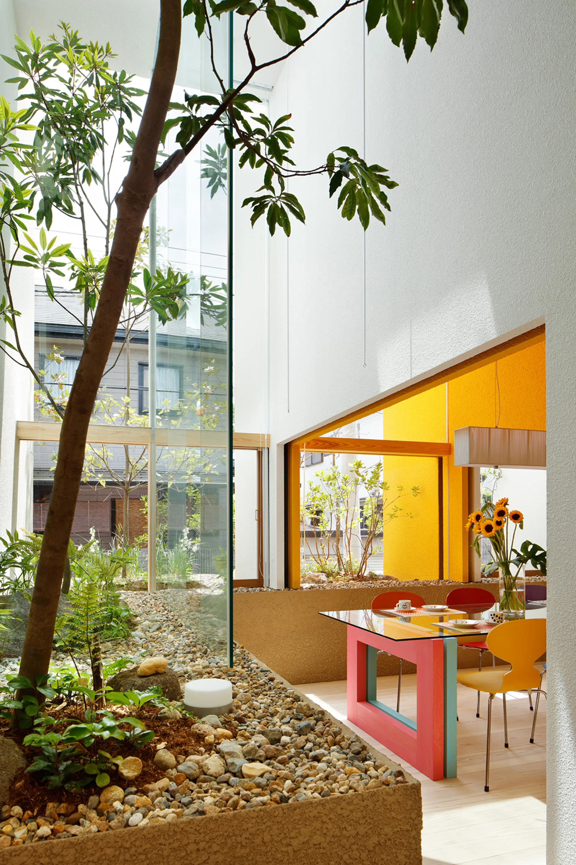 A modern dining room with a colorful table and yellow chairs features a glass-enclosed indoor courtyard with pebbles and a tree.