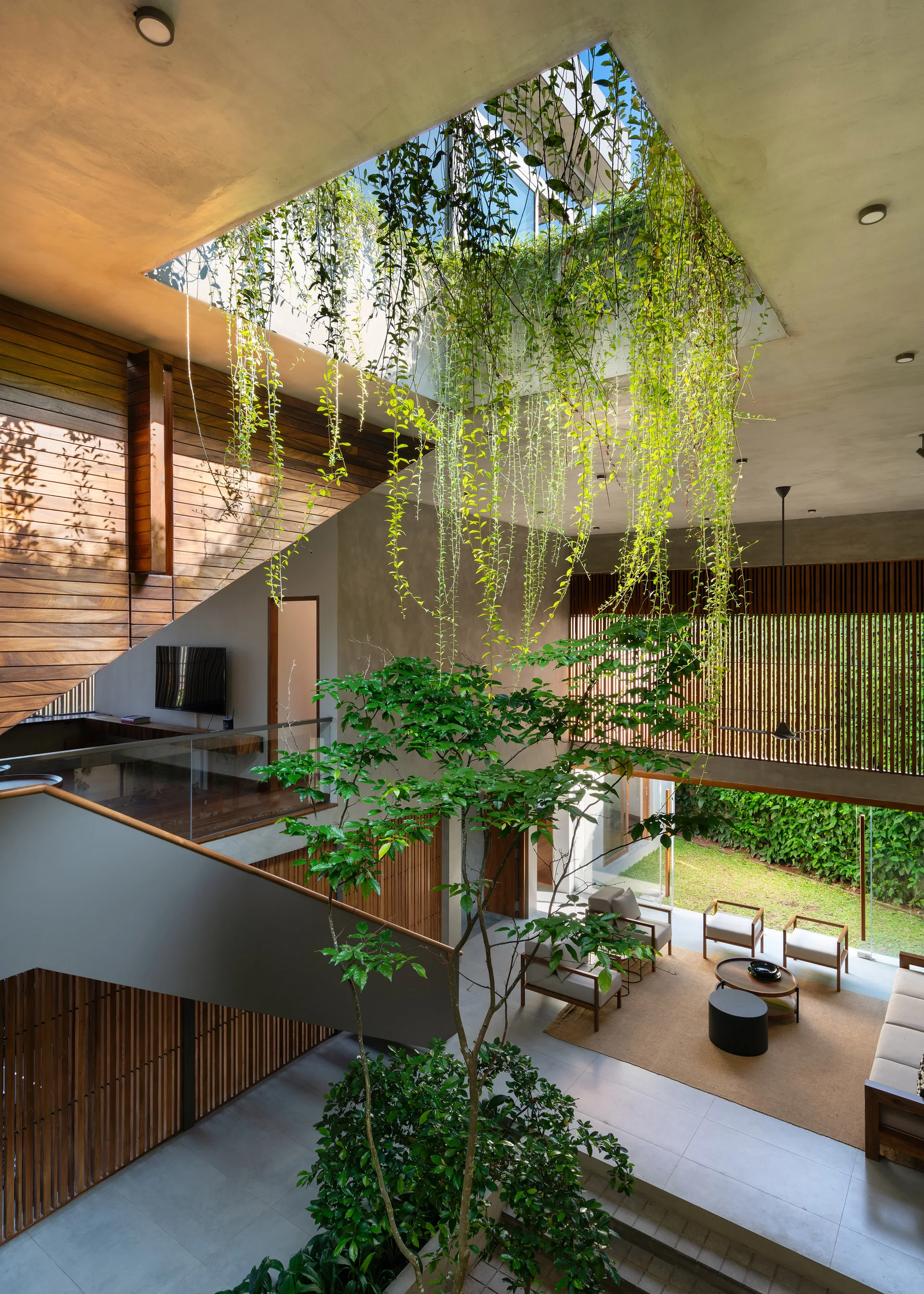A multi-level modern living room features a central courtyard with a tall tree, hanging vines draped from a large skylight, and concrete walls.
