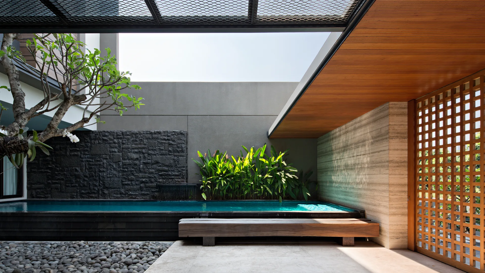 A modern outdoor lap pool features a dark stone water wall, green tropical plants, a long wooden bench, and a timber lattice screen.