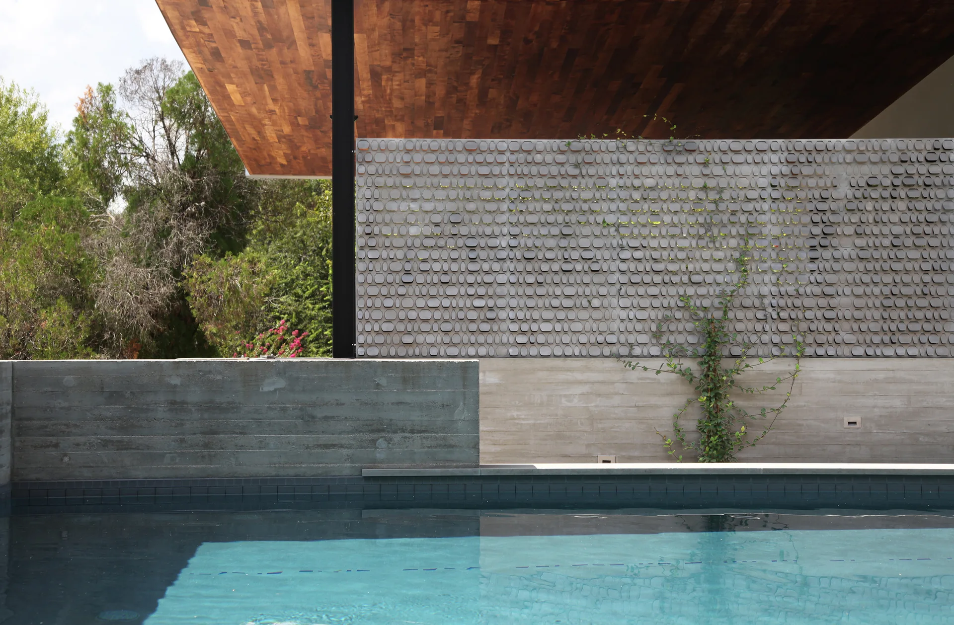 A backyard swimming pool sits beside a textured grey concrete wall topped with a geometric breeze block screen under a warm wood-plank ceiling.