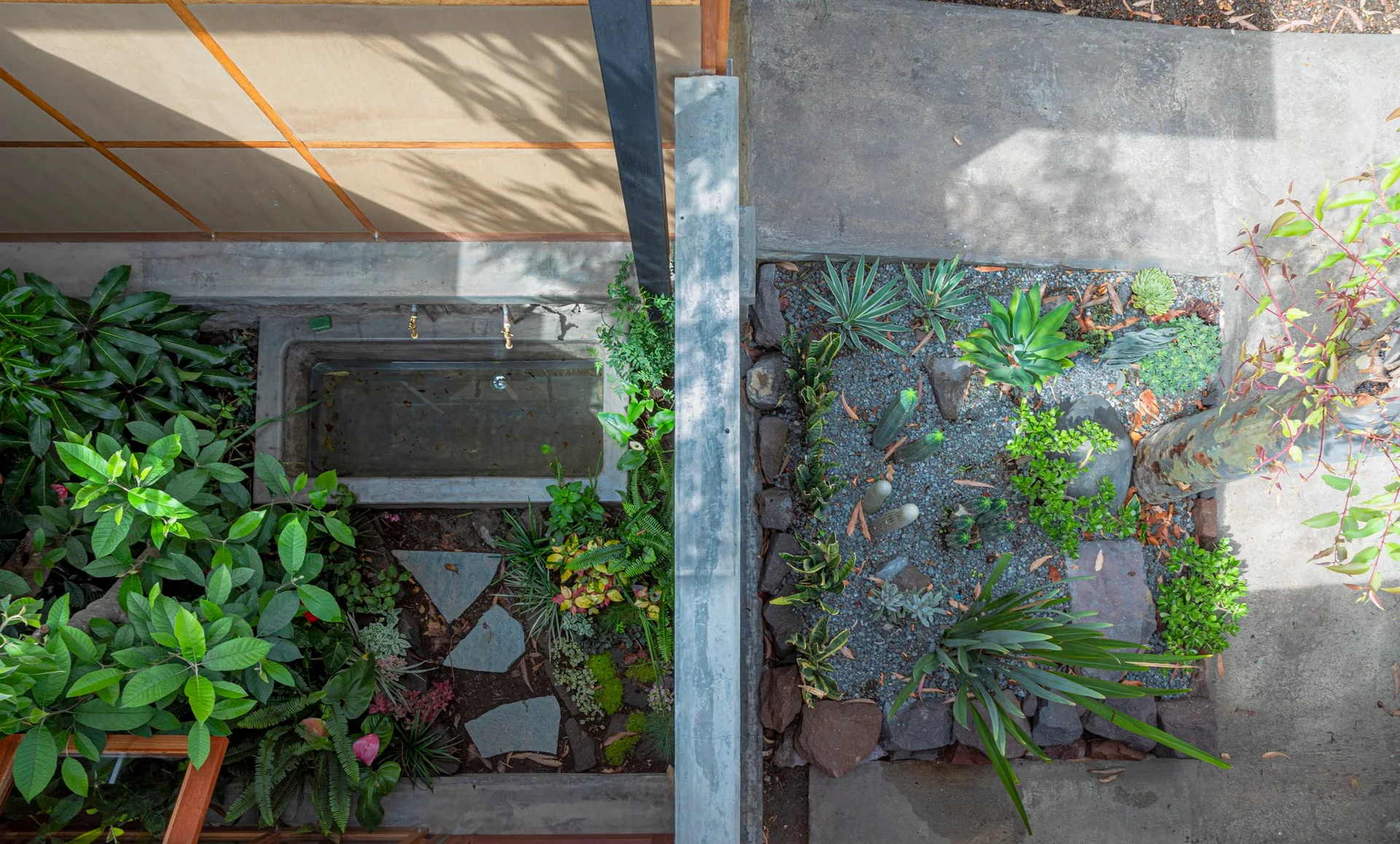 An overhead view of a modern courtyard garden divided by a concrete wall, showing a water basin on one side and succulents in gravel on the other.