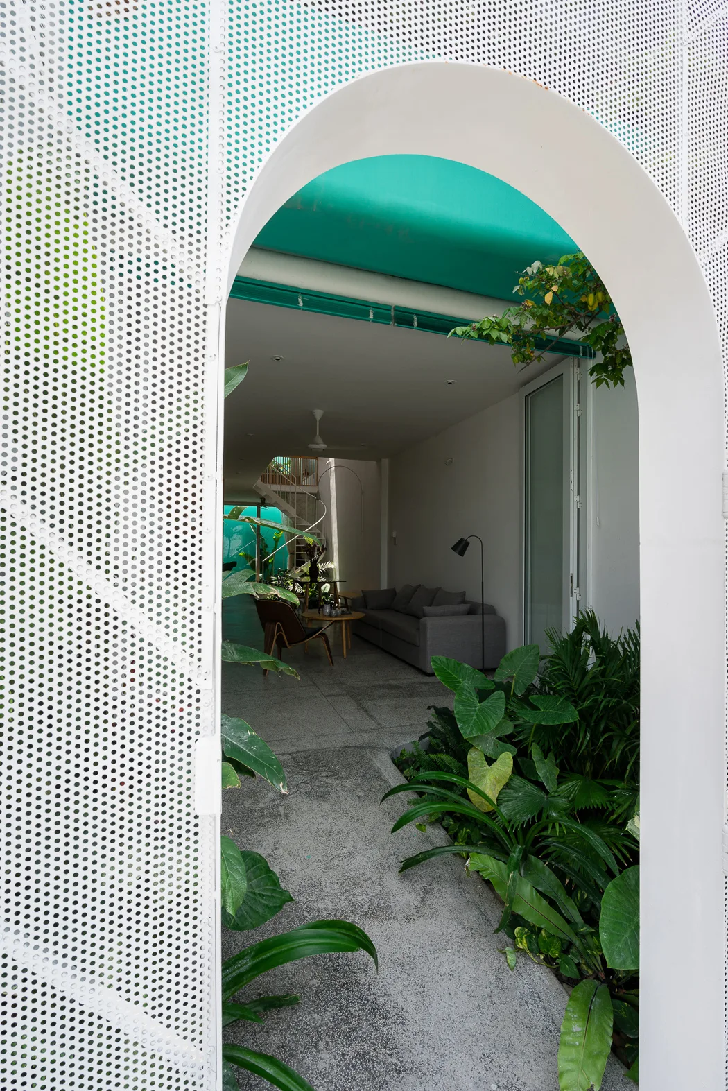 A minimalist living room with a grey sofa and wood coffee table viewed through a white perforated metal arched entryway surrounded by lush green plants.