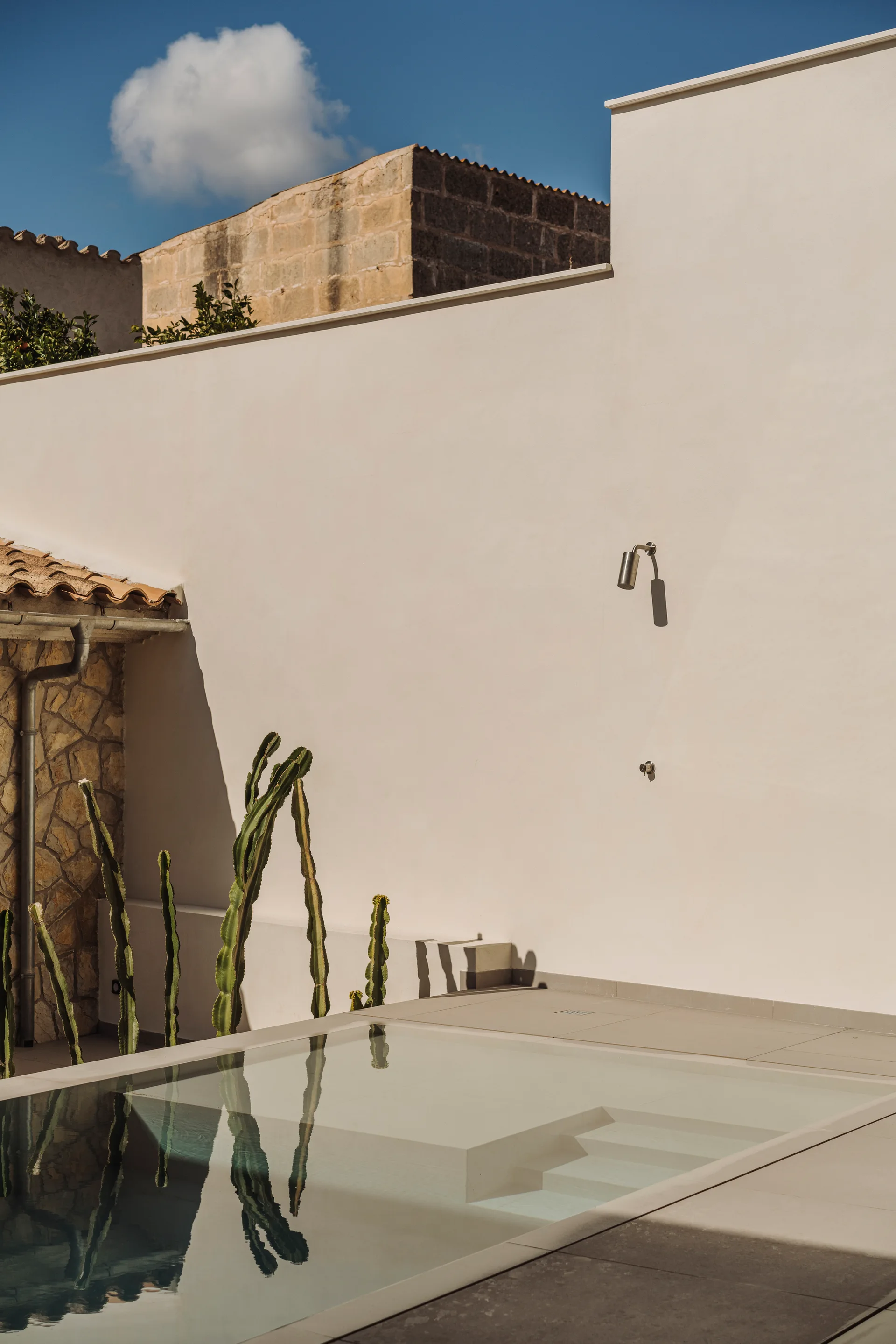 A small plunge pool sits next to an off-white stucco wall featuring a minimalist metal outdoor shower fixture and green cacti.