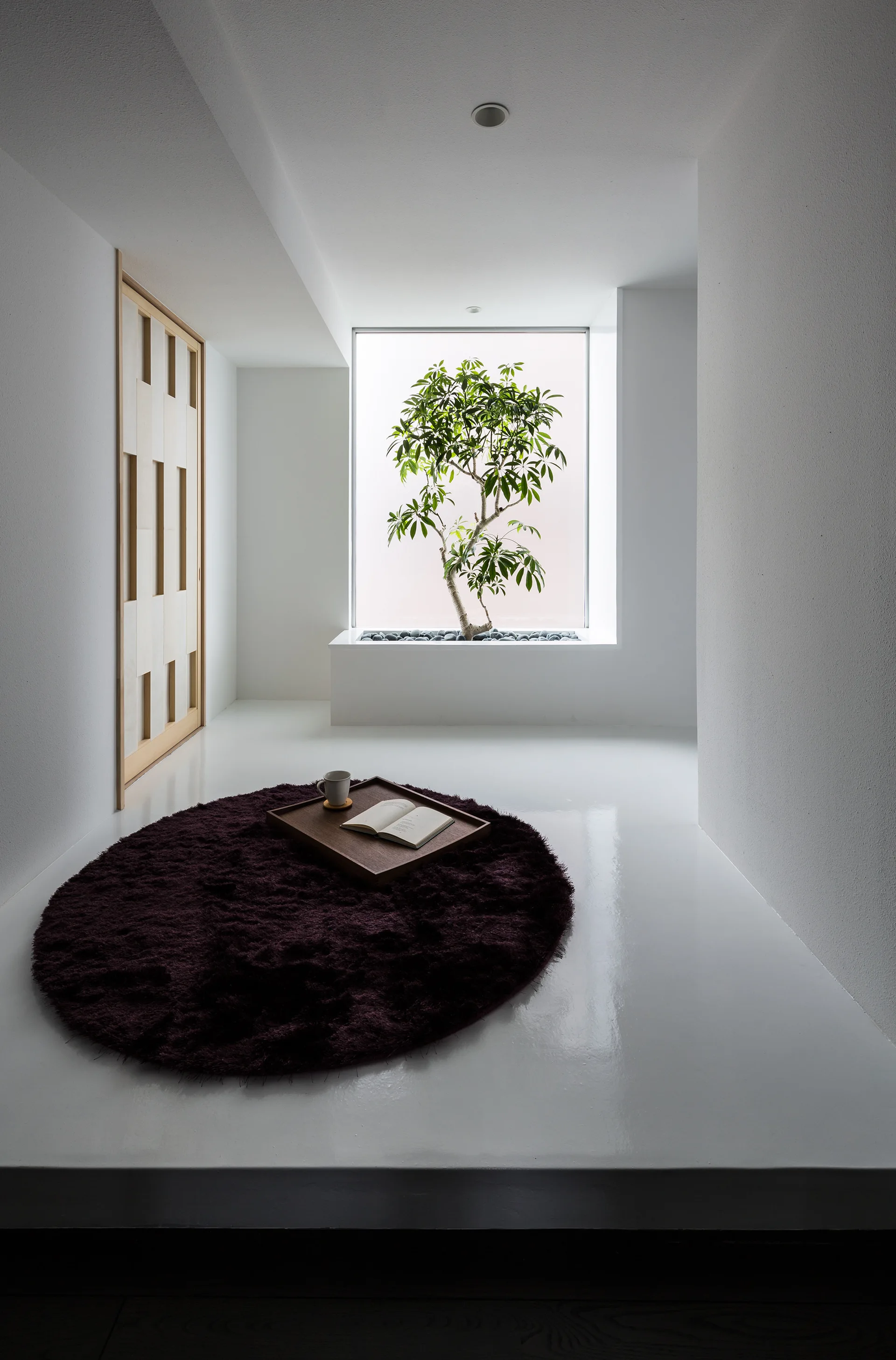 A minimalist white room features a circular dark purple rug, a wood-framed sliding door, and a small tree set inside a built-in window planter.