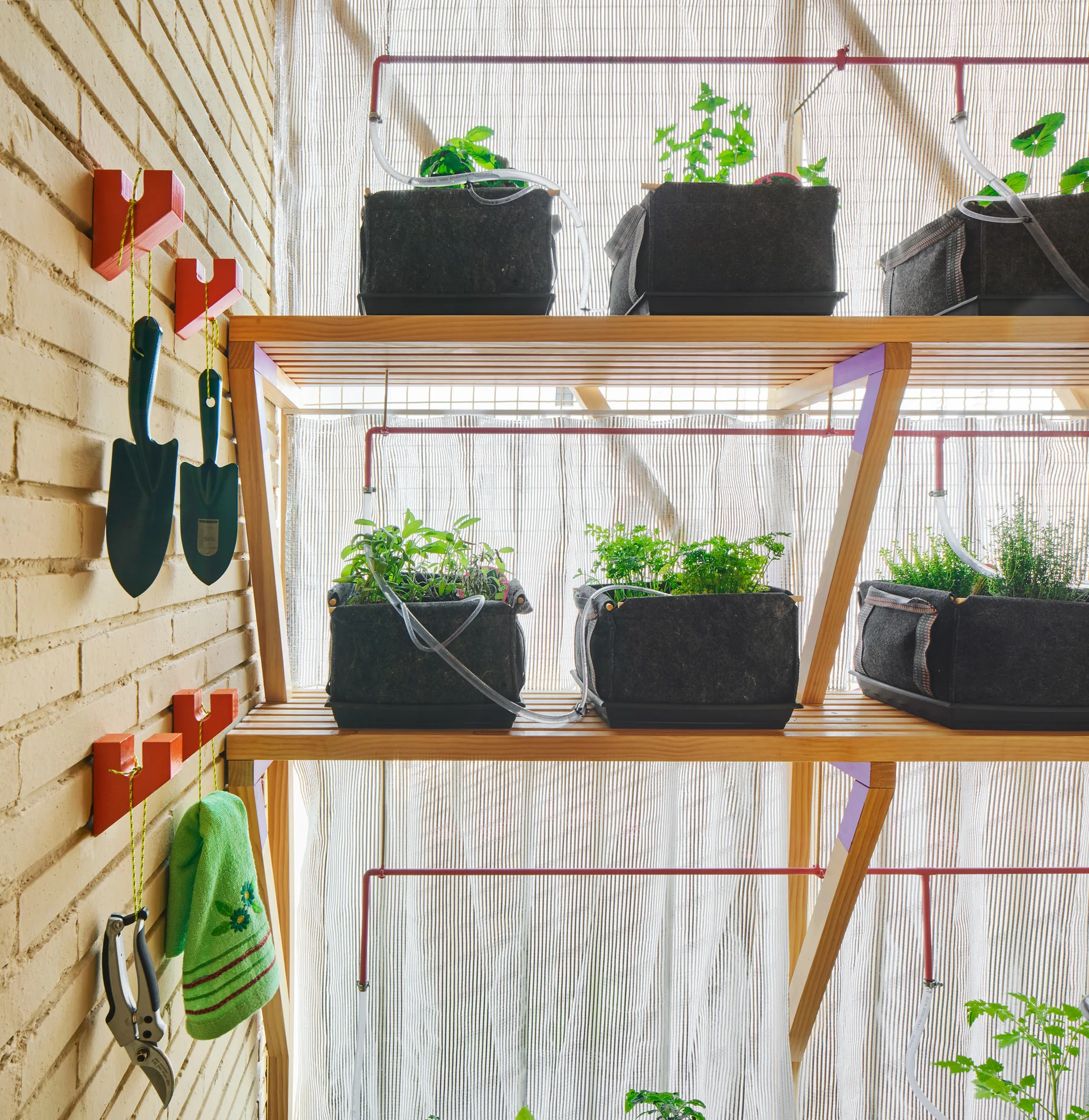 A tiered wooden shelf holds black fabric planters with green herbs against a light brick wall with hanging garden tools.