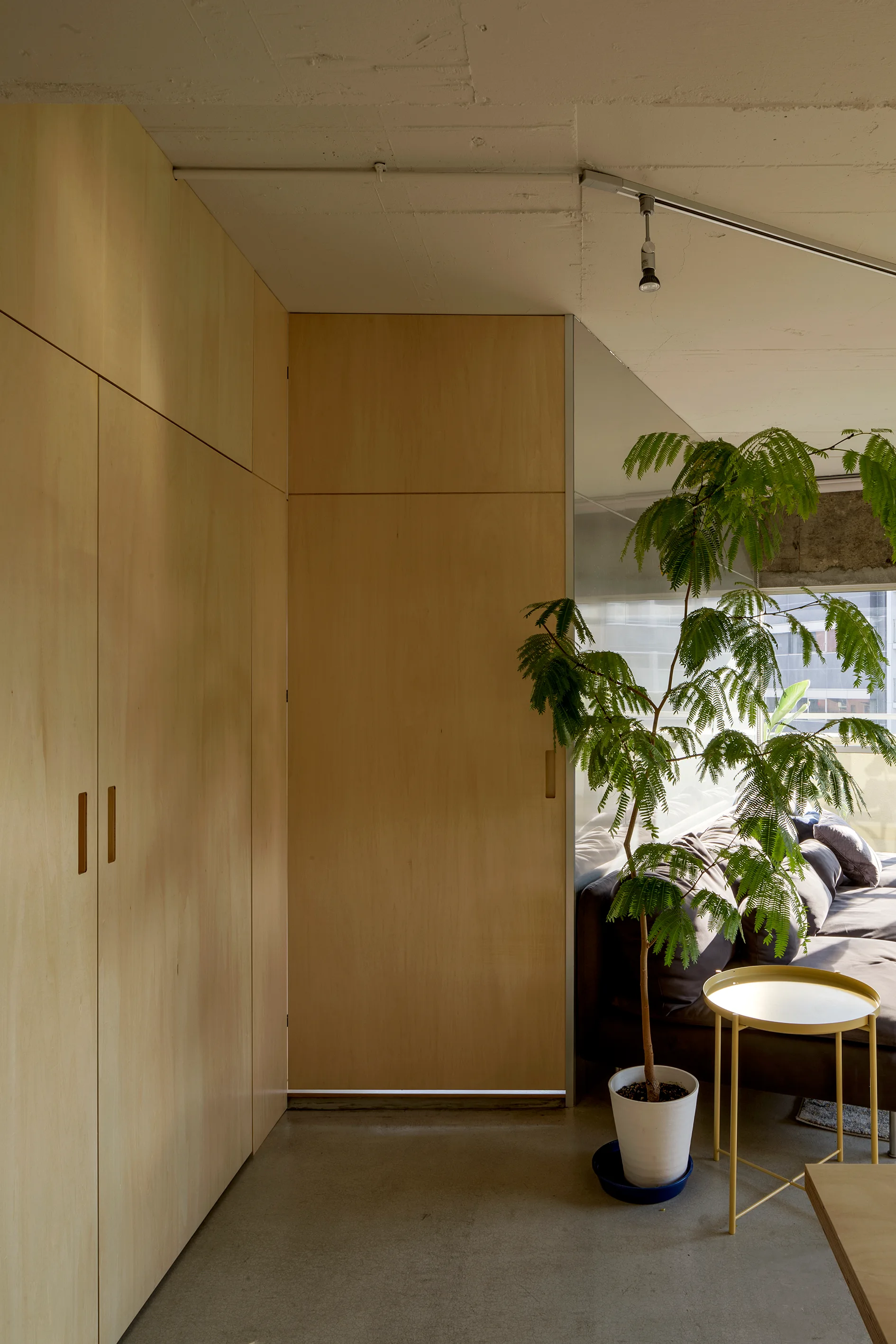 Plywood cabinetry lines a wall next to a living space featuring a gray sofa, a yellow metal side table, and a potted green tree.