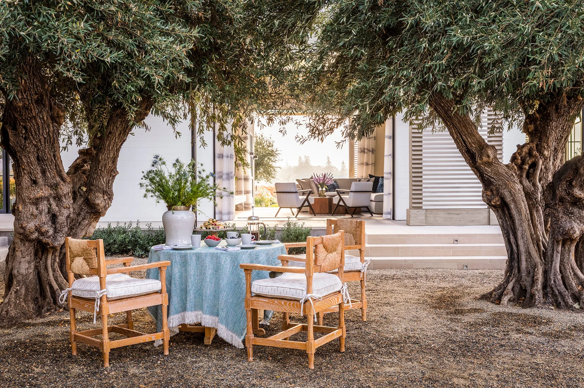 A wooden dining table with a teal tablecloth and chairs sits in a gravel courtyard framed by two large olive trees.