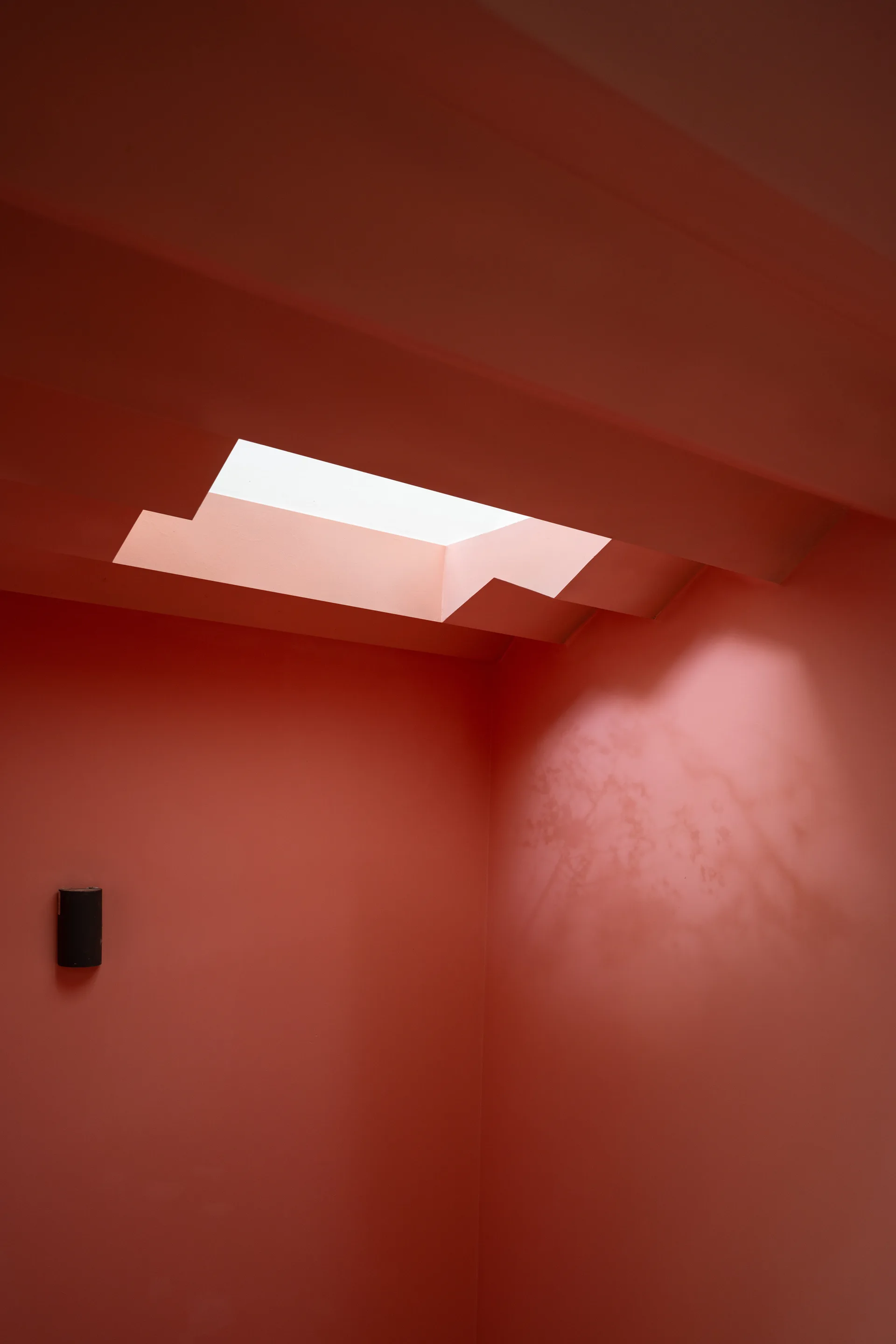 A minimalist terracotta red room features a sculpted ceiling with a rectangular skylight casting tree shadows on the matte painted walls.