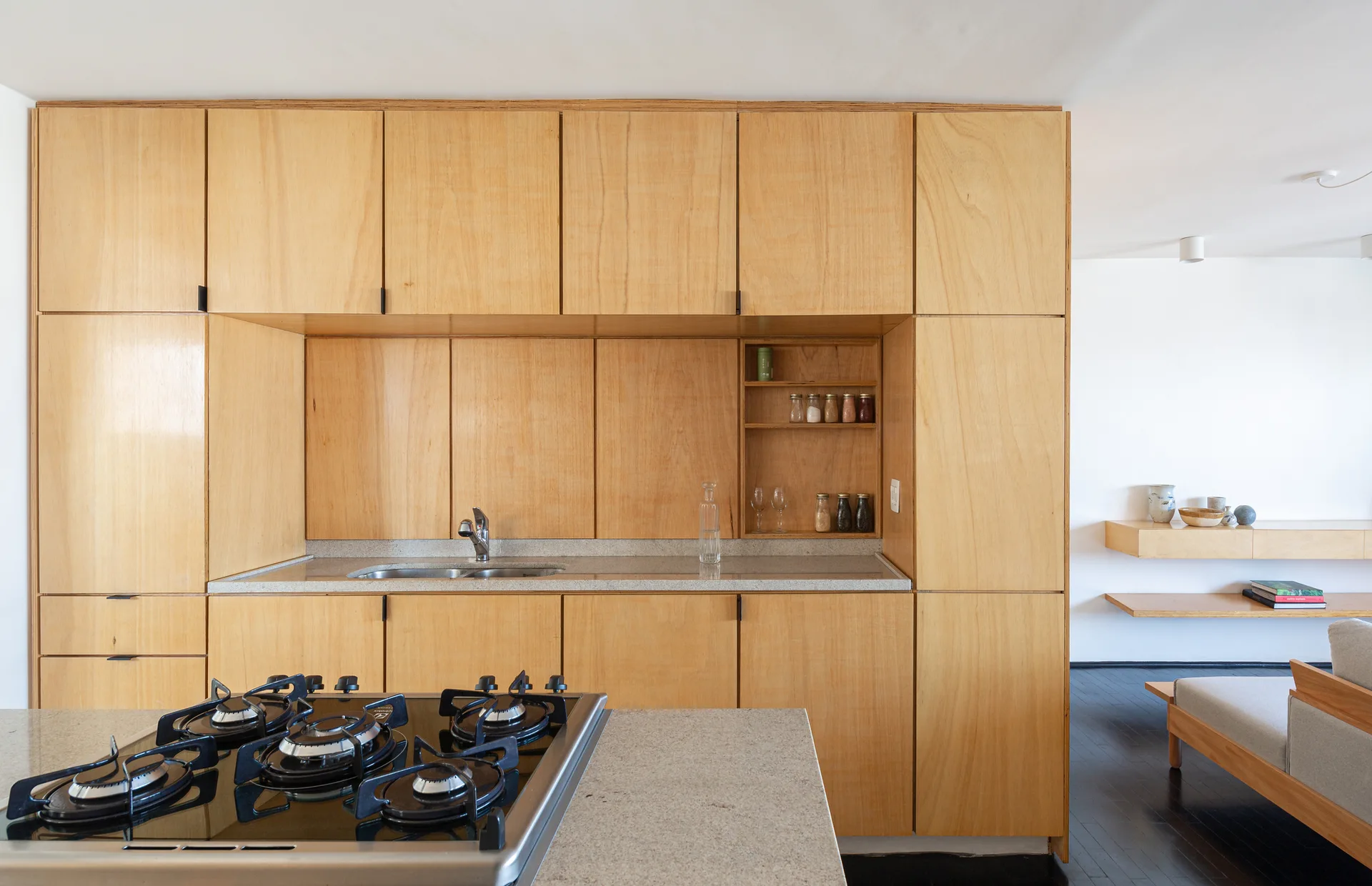 A minimalist kitchen features a full wall of flat-front plywood cabinets with a built-in sink alcove next to a matching living area.