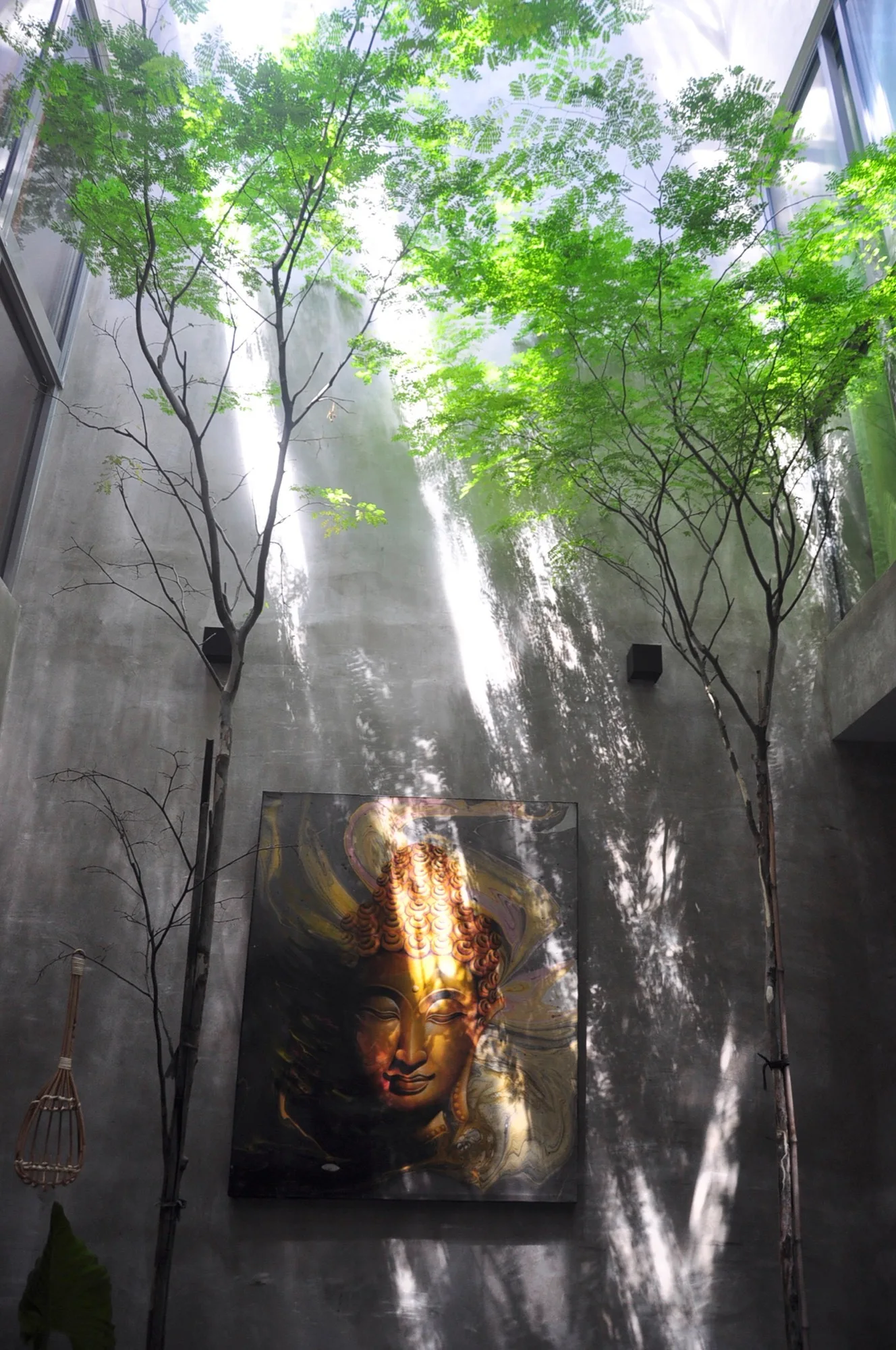 A large gold Buddha painting hangs on a tall concrete wall in an indoor atrium with two slender trees and overhead natural light.