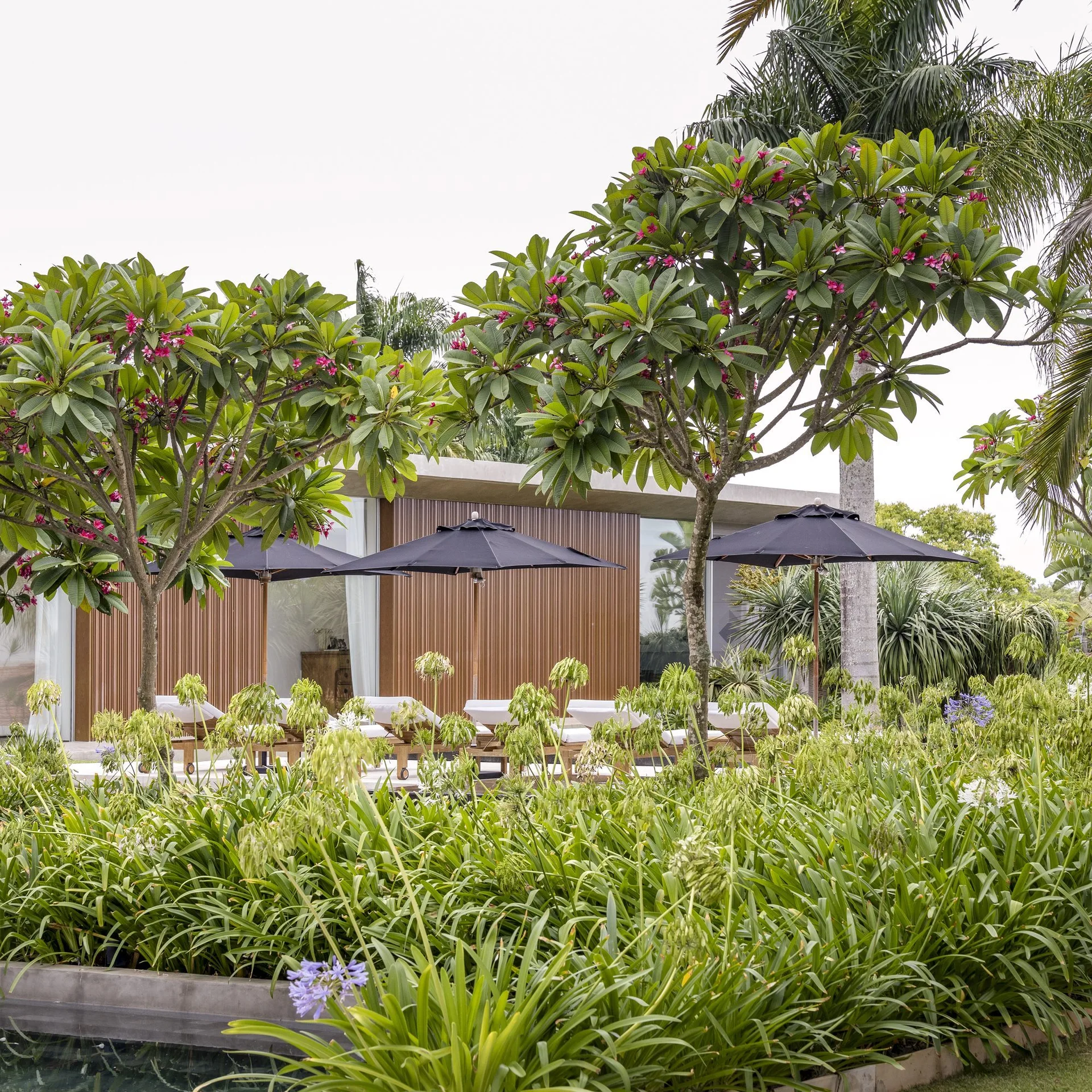 Lounge chairs and black umbrellas line a poolside patio in front of a modern building with vertical wood siding and dense green plantings.
