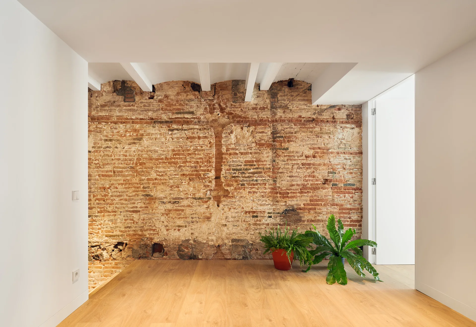 An interior space features a textured exposed brick wall, light wood flooring, white ceiling beams, and two green potted plants.