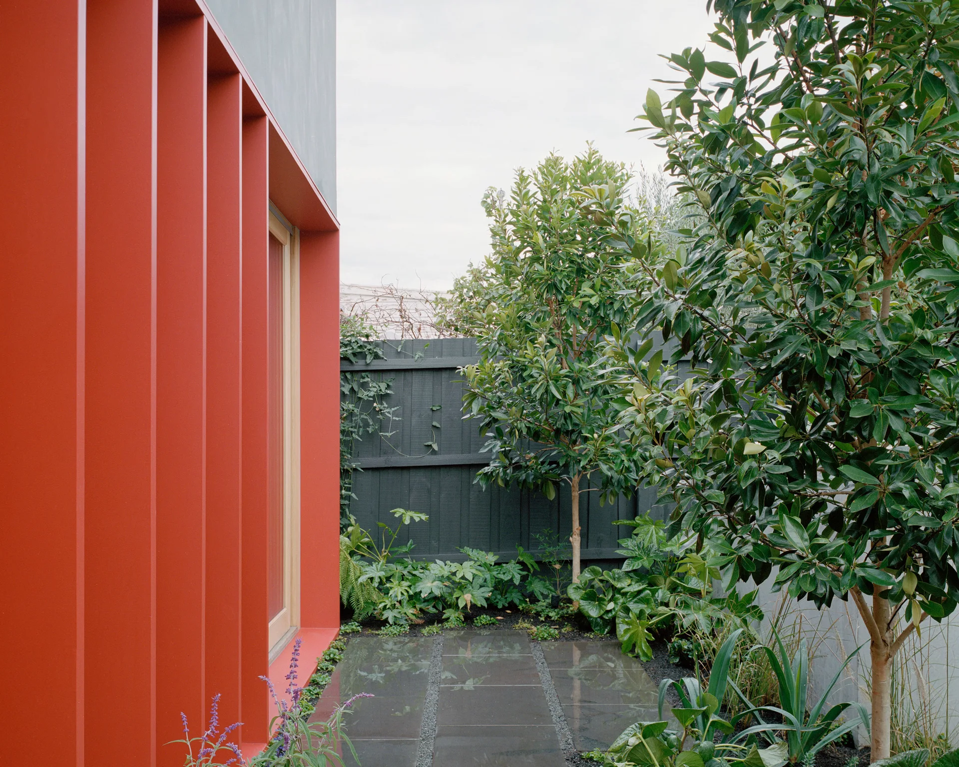 A stone garden path runs alongside a vibrant red vertical slat building facade toward a dark wood privacy fence surrounded by green plants.