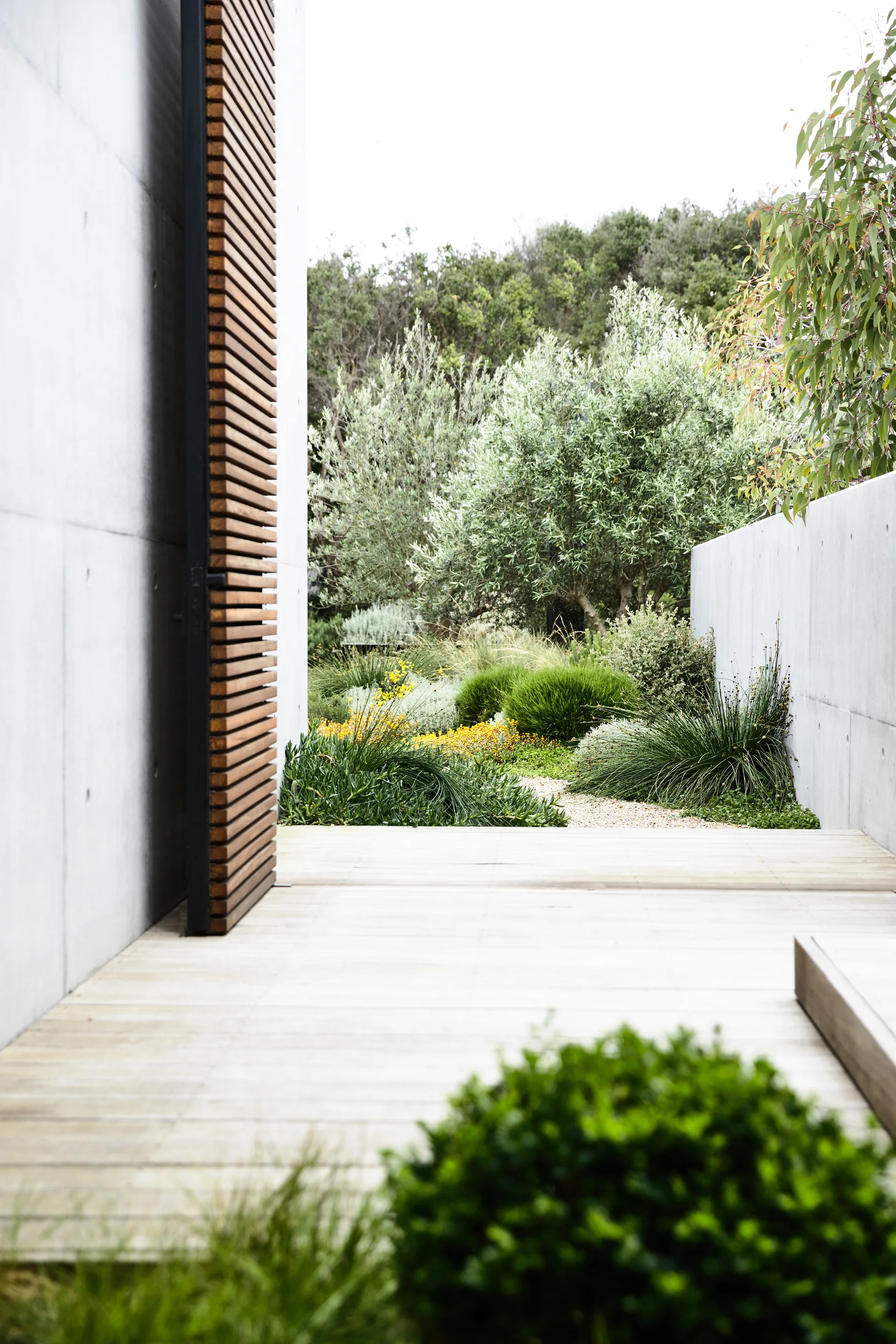 A wooden deck path flanked by raw concrete walls leads past a tall slatted timber door toward a landscaped garden with green shrubs and trees.