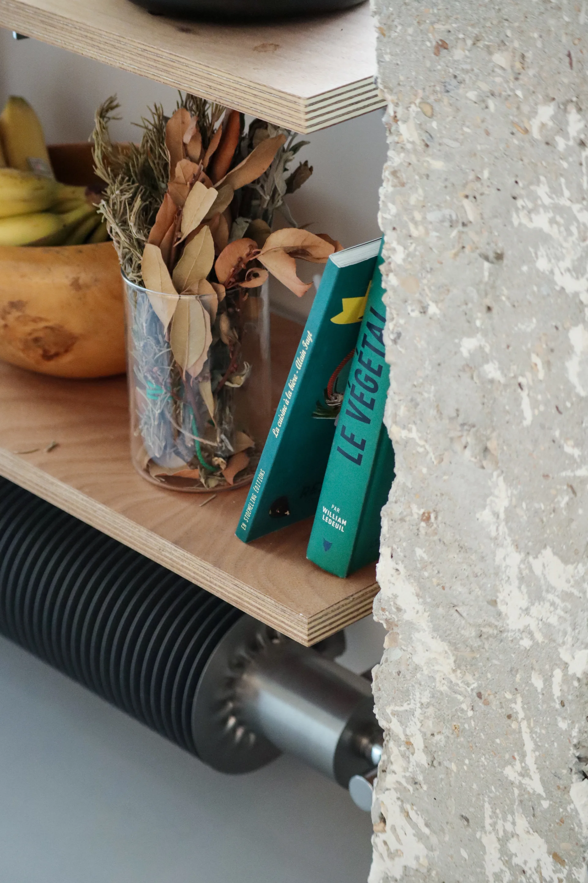 A close-up of a layered plywood shelf with exposed edges next to a rough concrete wall, holding green books and dried leaves.