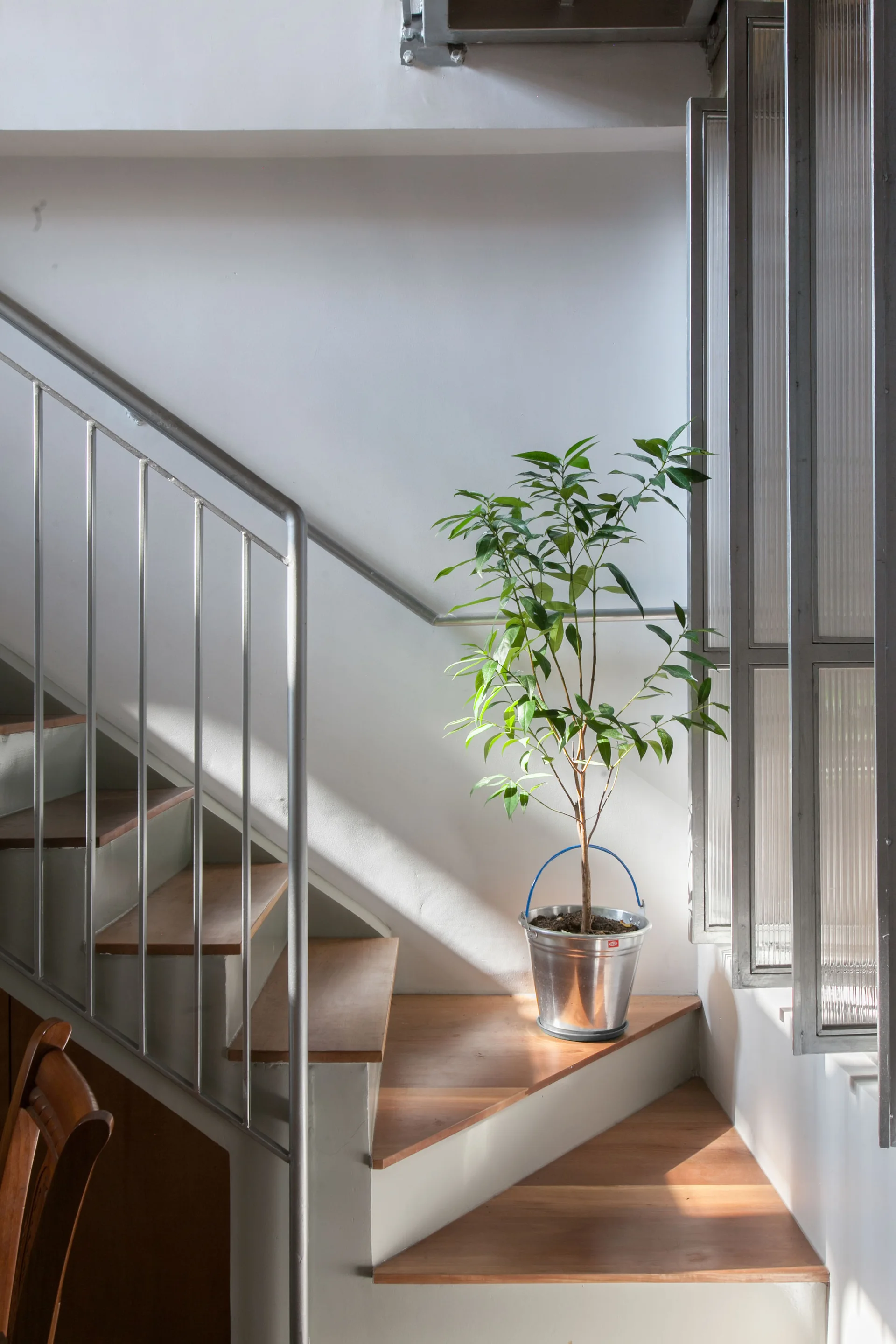 A small green tree in a metallic bucket sits on a wooden staircase landing beside a ribbed glass window panel and a silver handrail.