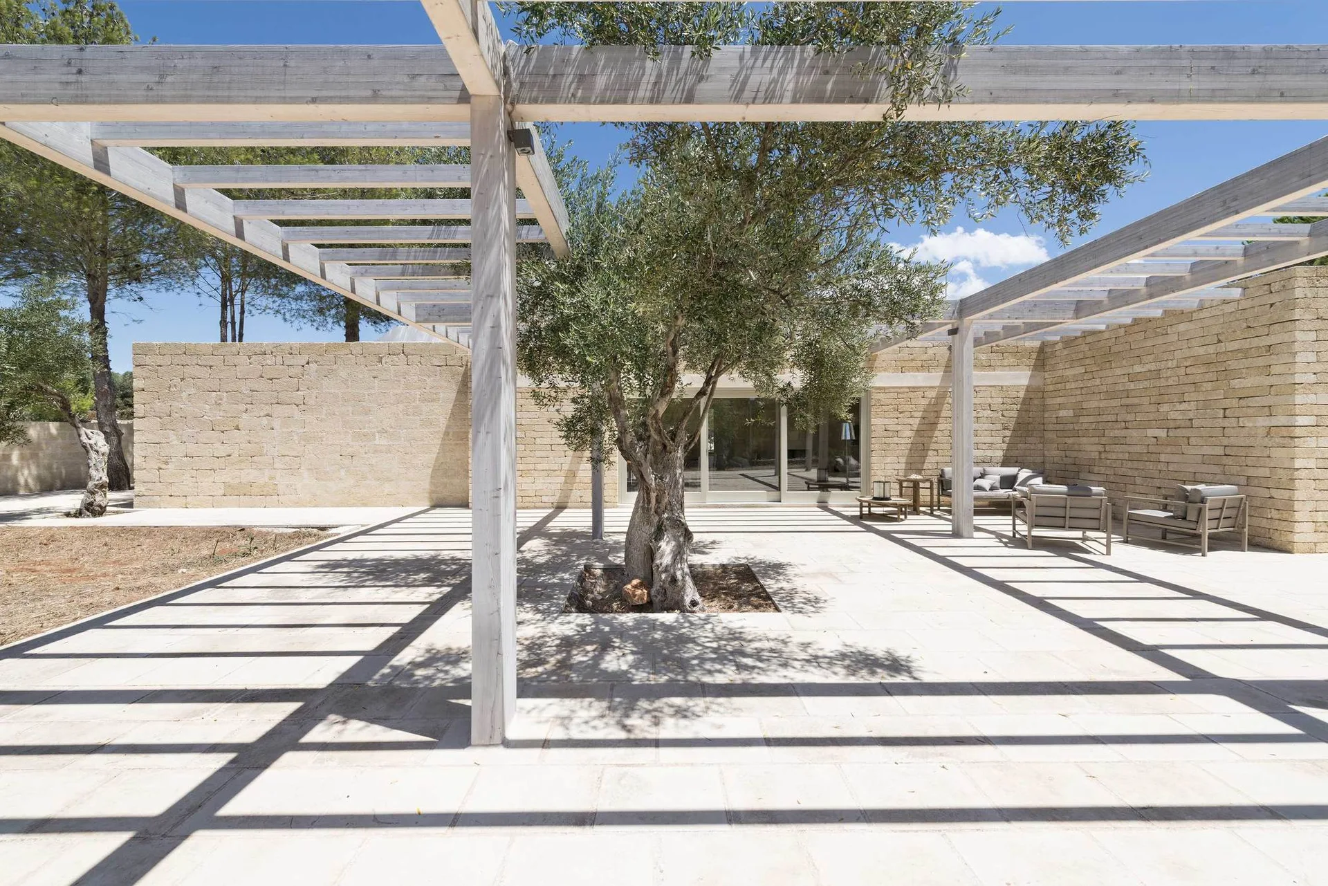A paved stone patio features a large central olive tree surrounded by a light-colored wooden pergola casting linear shadows on the ground.