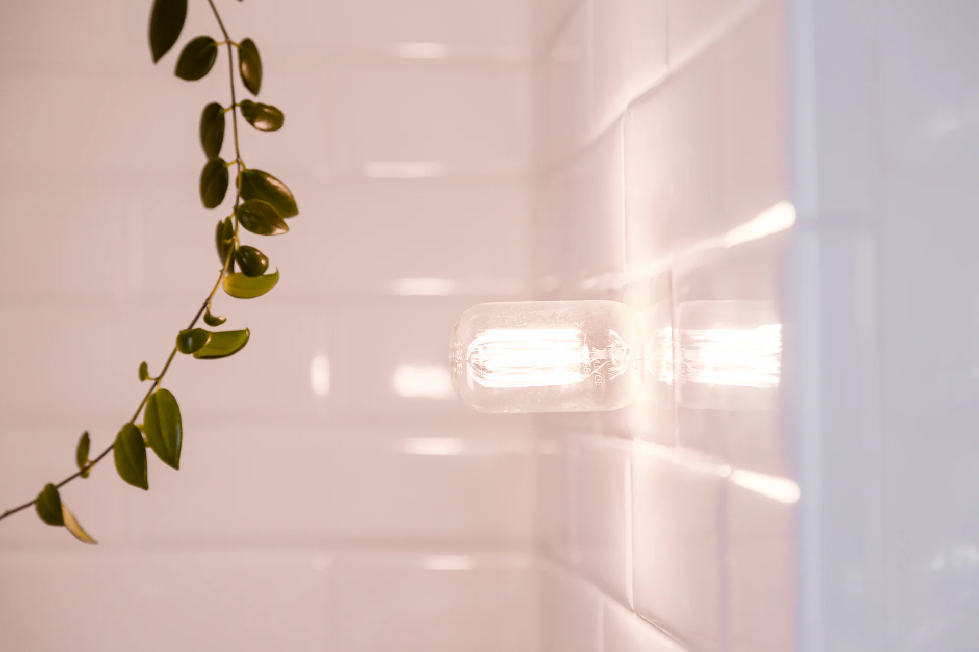 A glowing exposed filament light bulb sconce is mounted on a glossy white subway tile wall next to a trailing green vine plant.