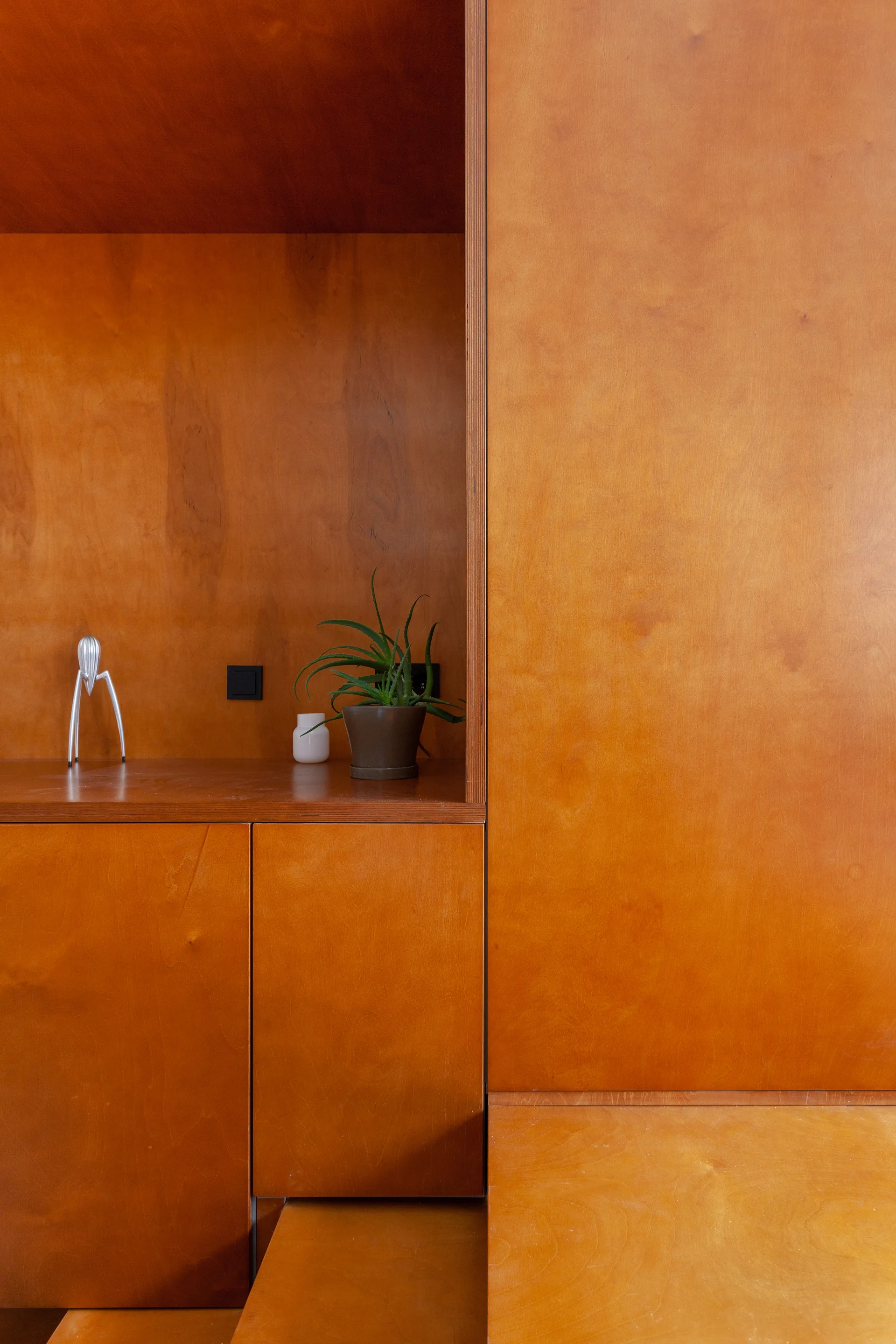 Custom amber-toned plywood cabinetry featuring a recessed nook with a potted aloe plant, a small white vessel, and a metallic juicer.