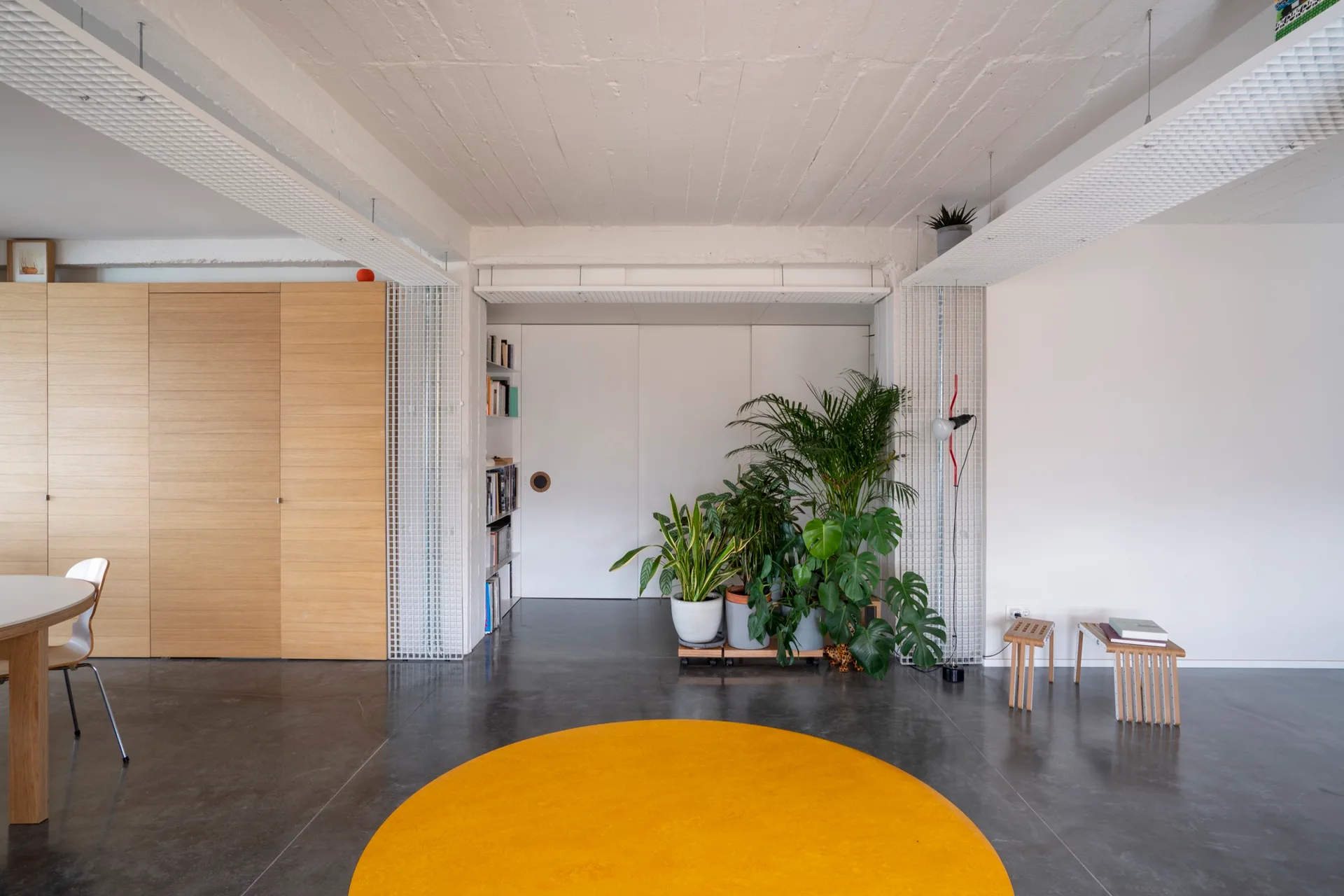 A minimalist room features polished concrete floors, light wood cabinetry, a cluster of potted plants, and a bright yellow circular rug.