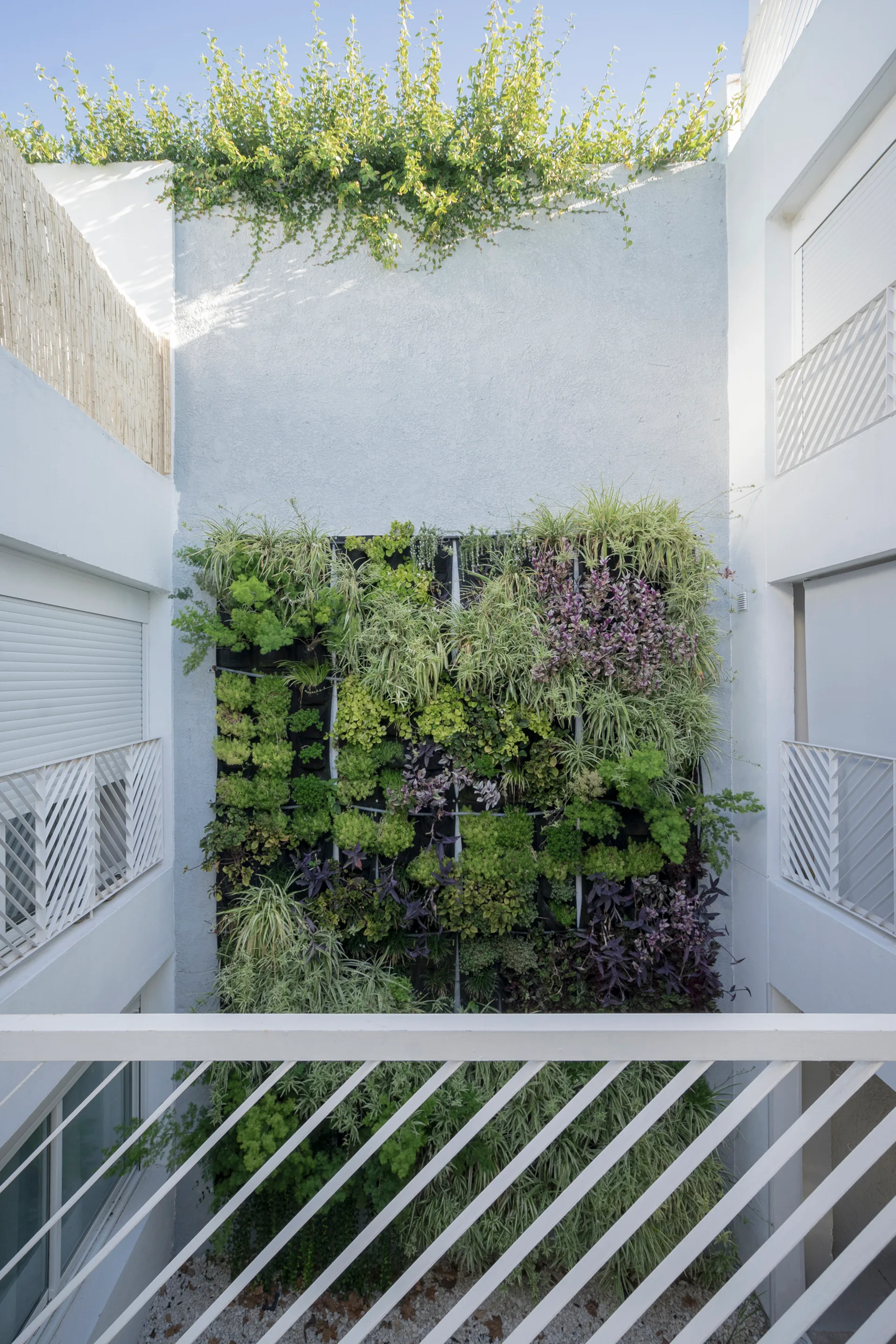 Guapa Cordon Sur Apartments