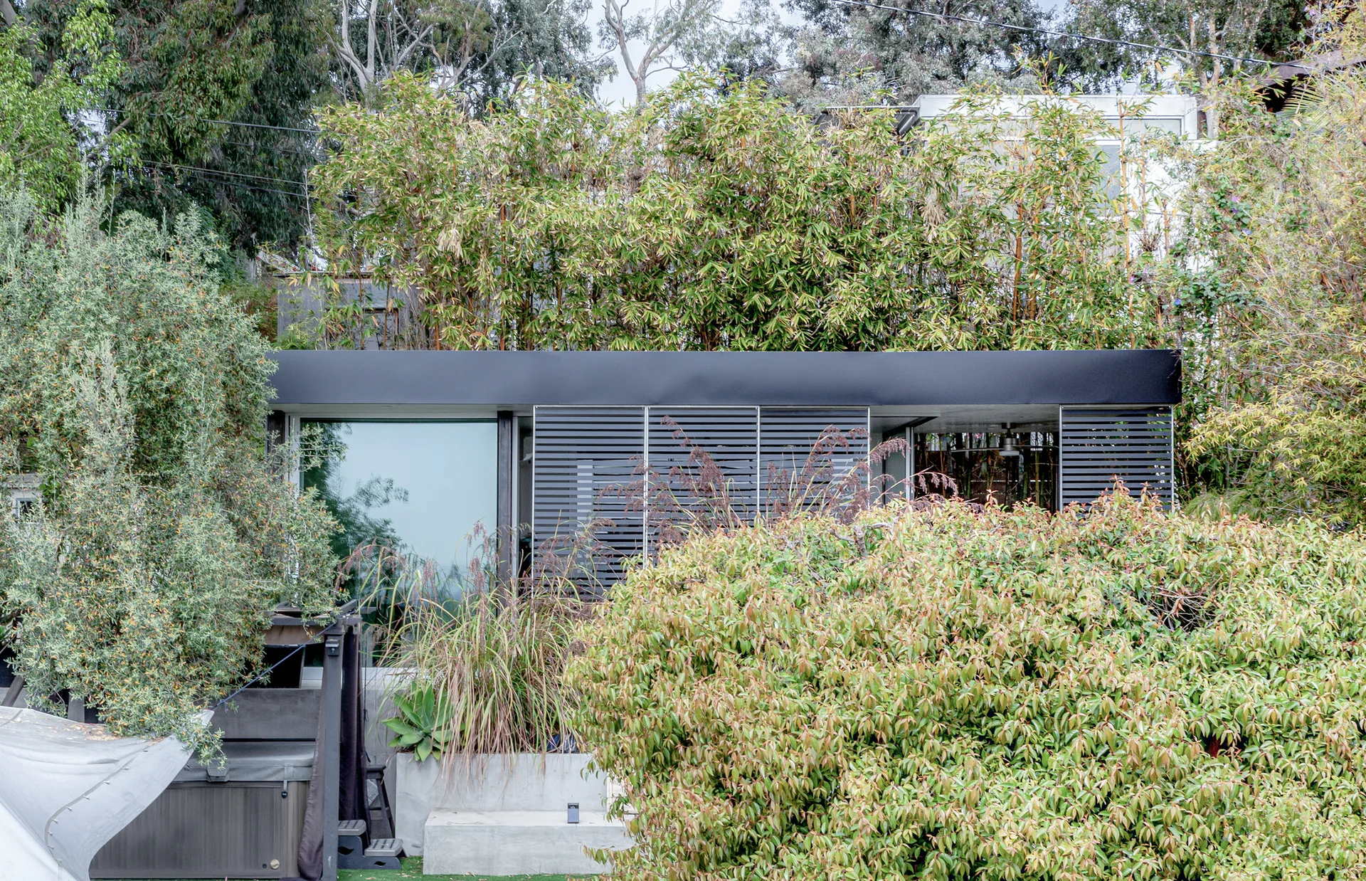A low-profile modern pavilion with dark slatted louvered panels is nestled within dense green bamboo and lush garden vegetation.