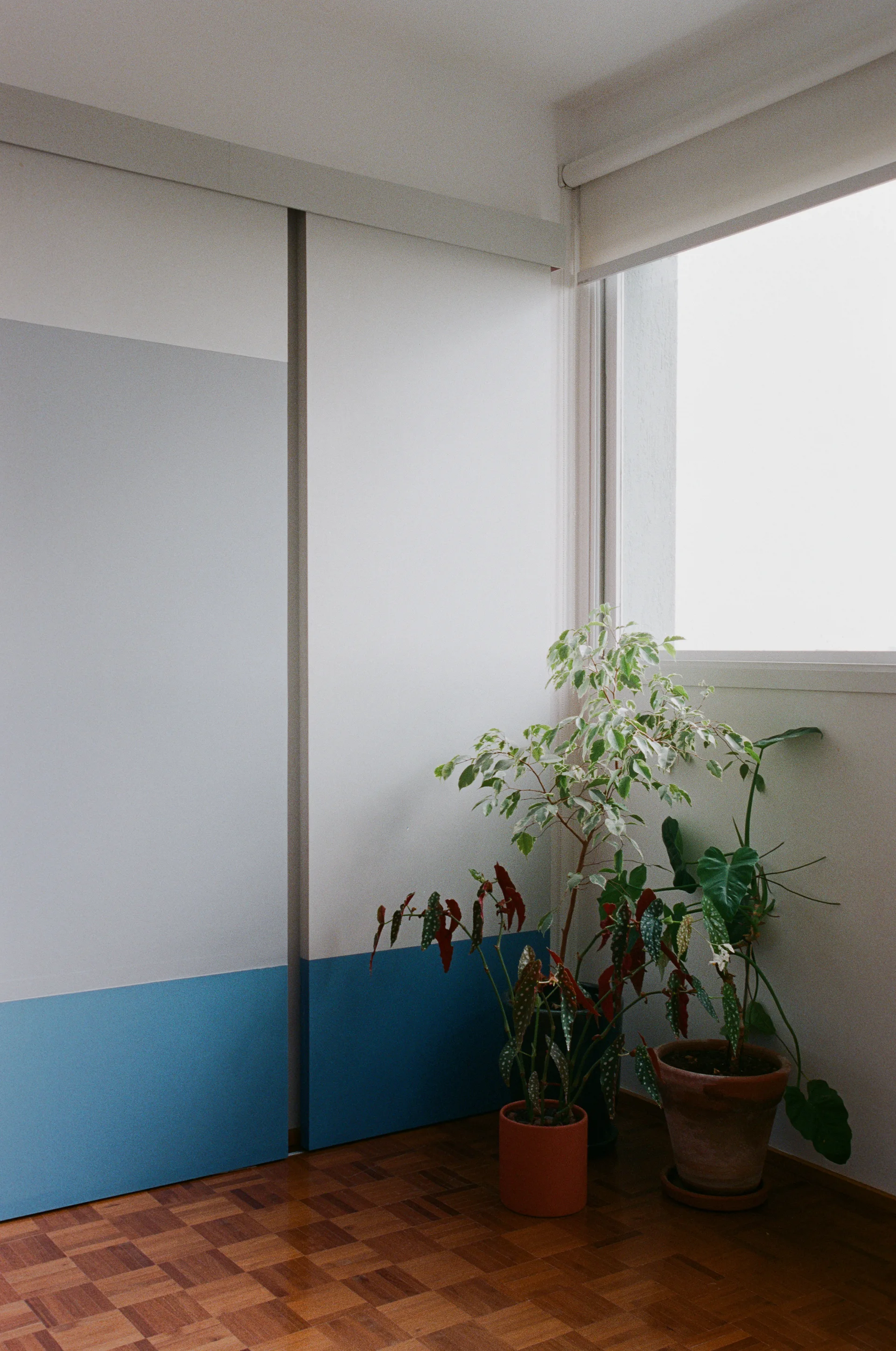 A bedroom corner features two-tone blue and white sliding closet doors, a wooden parquet floor, and several potted houseplants near a window.