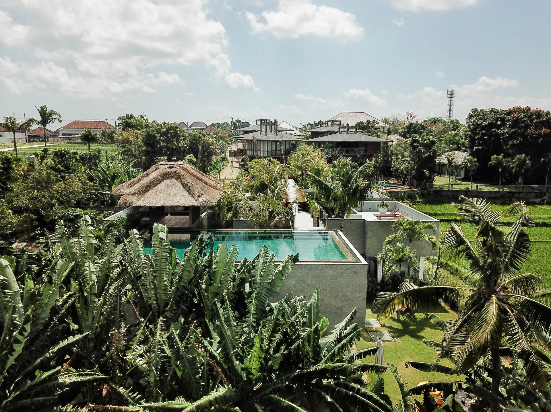 An aerial view of a modern tropical villa featuring a grey stone infinity pool, a thatched roof pavilion, and dense palm trees.