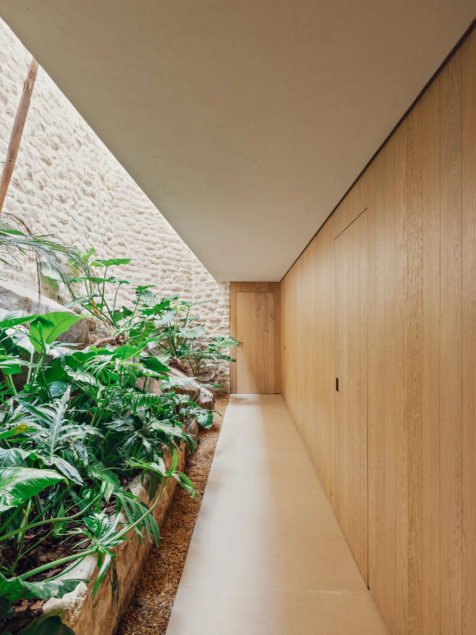 A minimalist hallway features vertical wood plank wall paneling on one side and an integrated stone garden bed with green plants on the other.