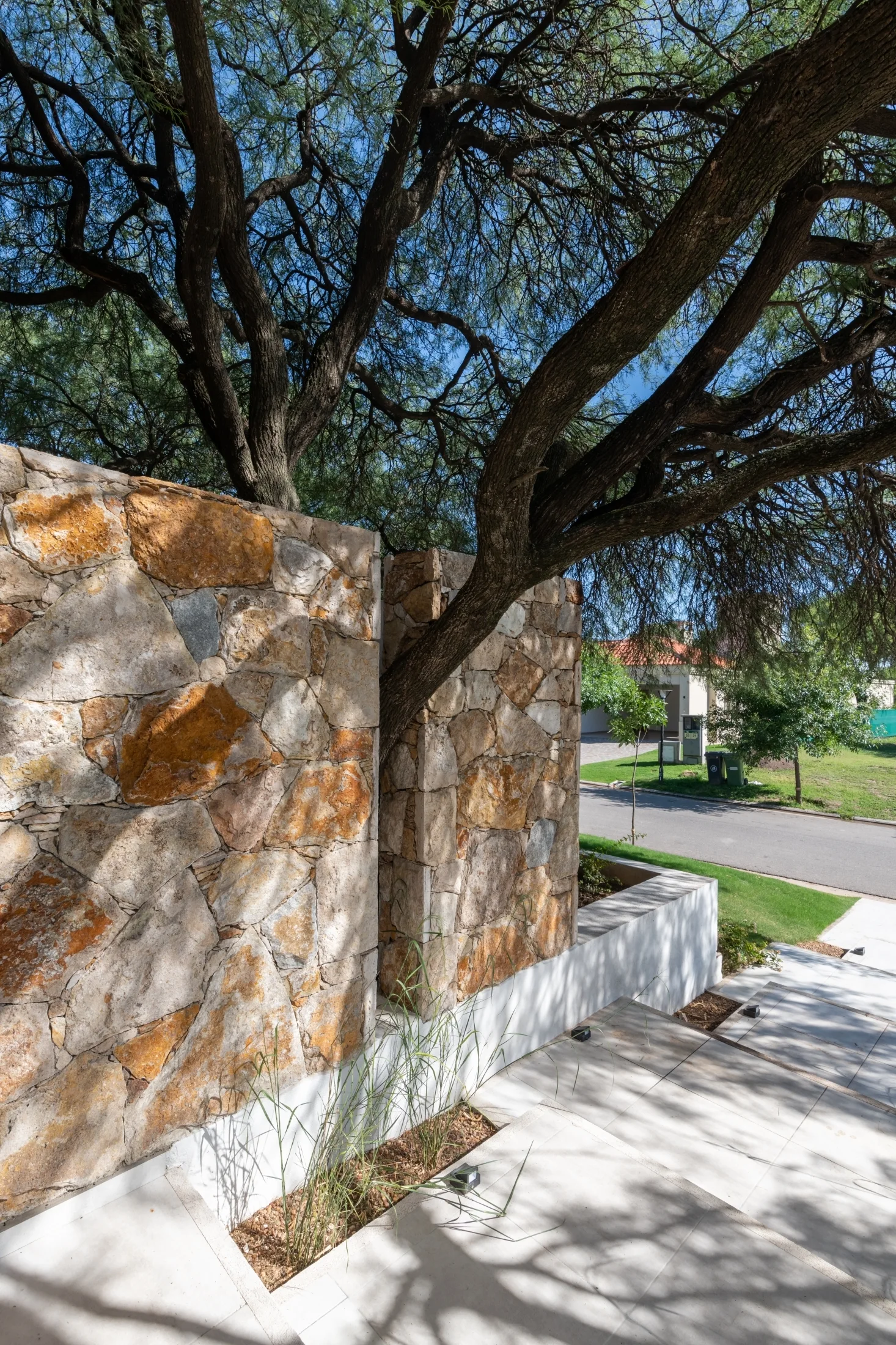 A multi-tonal rustic stone wall features a vertical gap designed to accommodate a large tree trunk overhanging a paved concrete walkway.