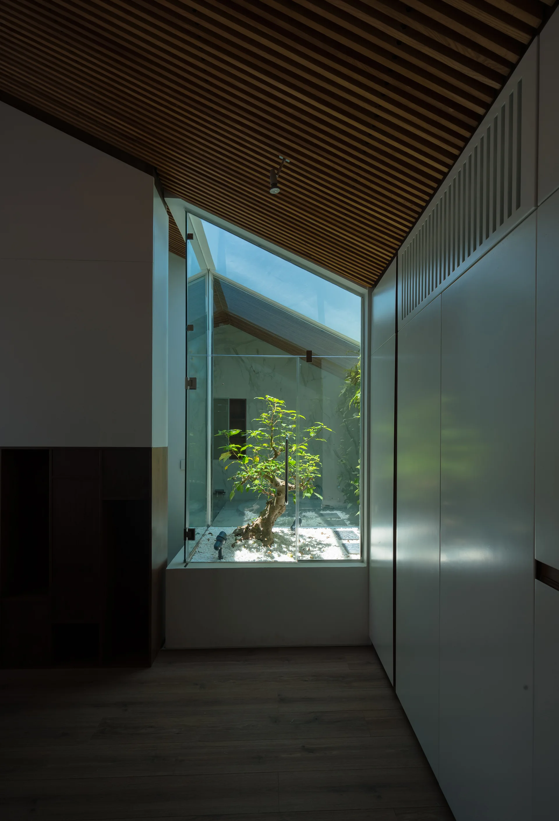 A modern hallway features a glass-enclosed indoor atrium with a small tree under a slanted wood slat ceiling and white built-in cabinets.
