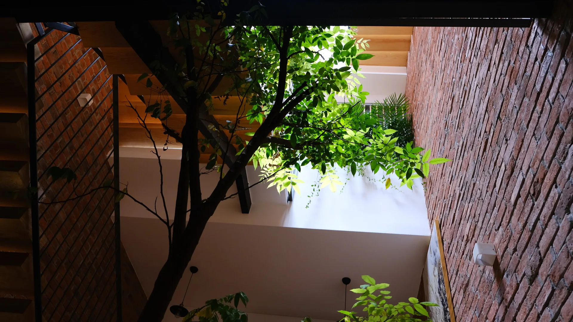 An interior stairwell features wooden steps, an exposed red brick wall, and a large indoor tree illuminated by overhead natural light.