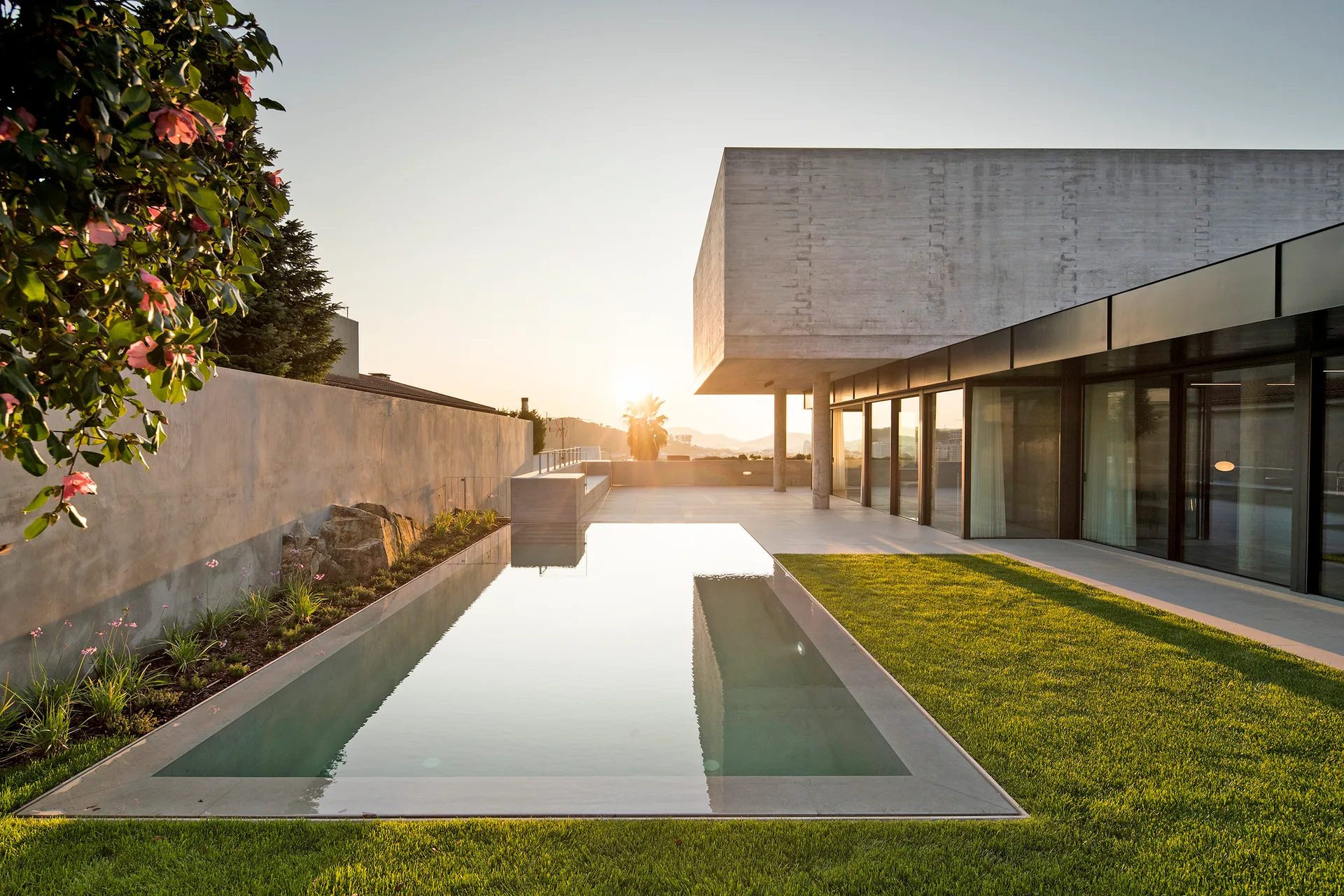 A rectangular swimming pool is flanked by a green lawn and a modern concrete home with glass walls under a sunset sky.