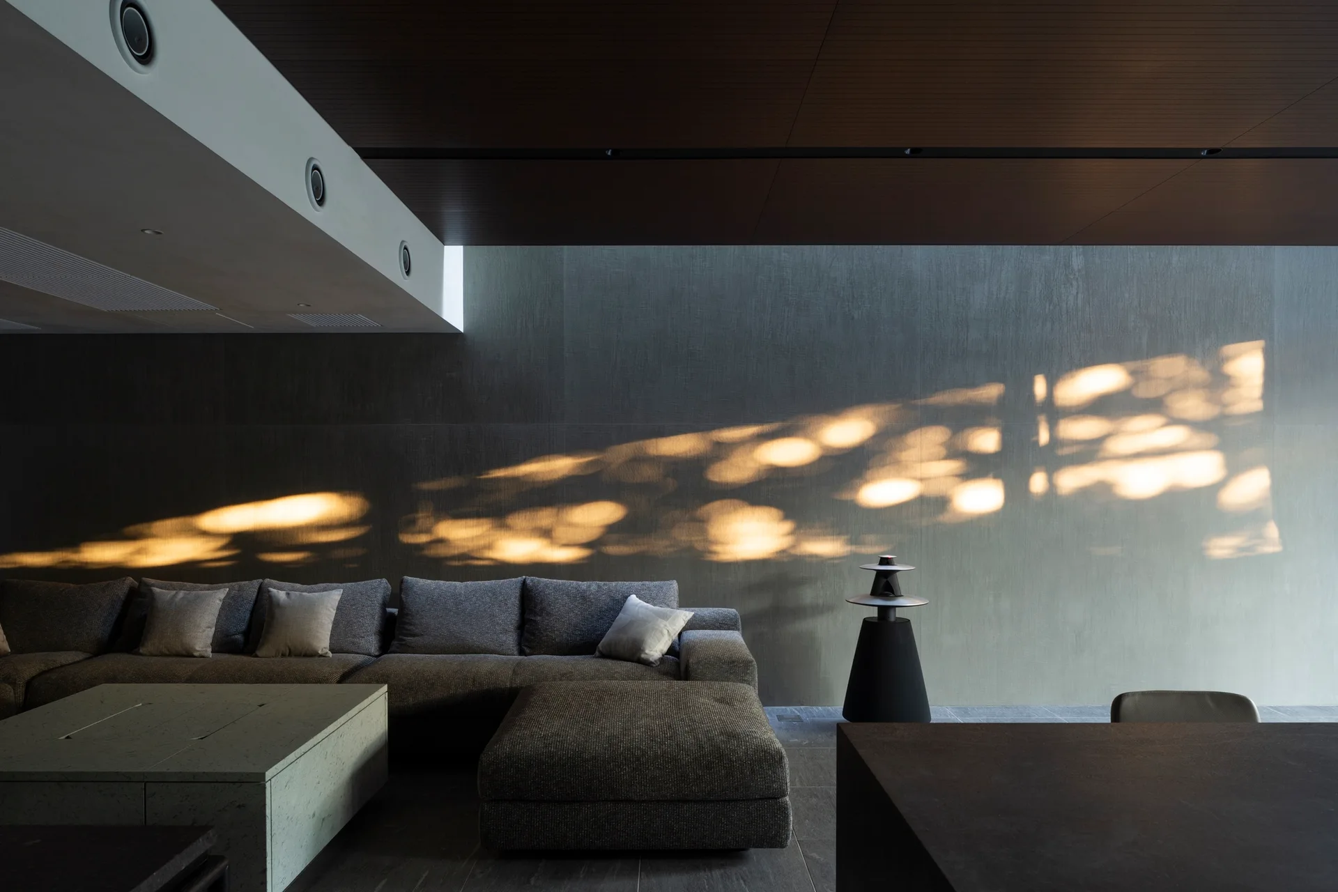A dark-grey sectional sofa sits in a contemporary living room with a matte grey wall illuminated by golden dappled shadow patterns.