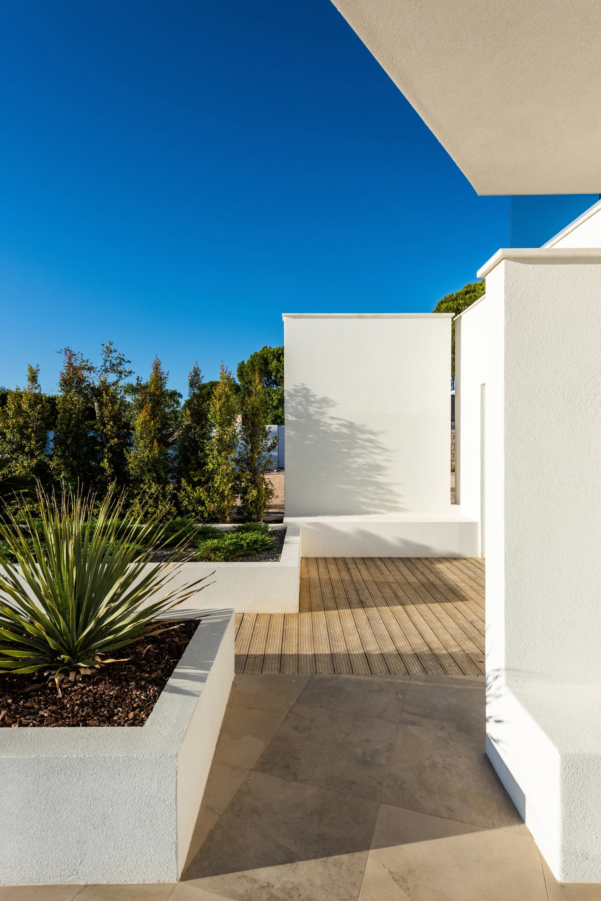 A minimalist outdoor patio featuring sharp white stucco walls, timber deck flooring, and raised white planters with green plants under a clear blue sky.