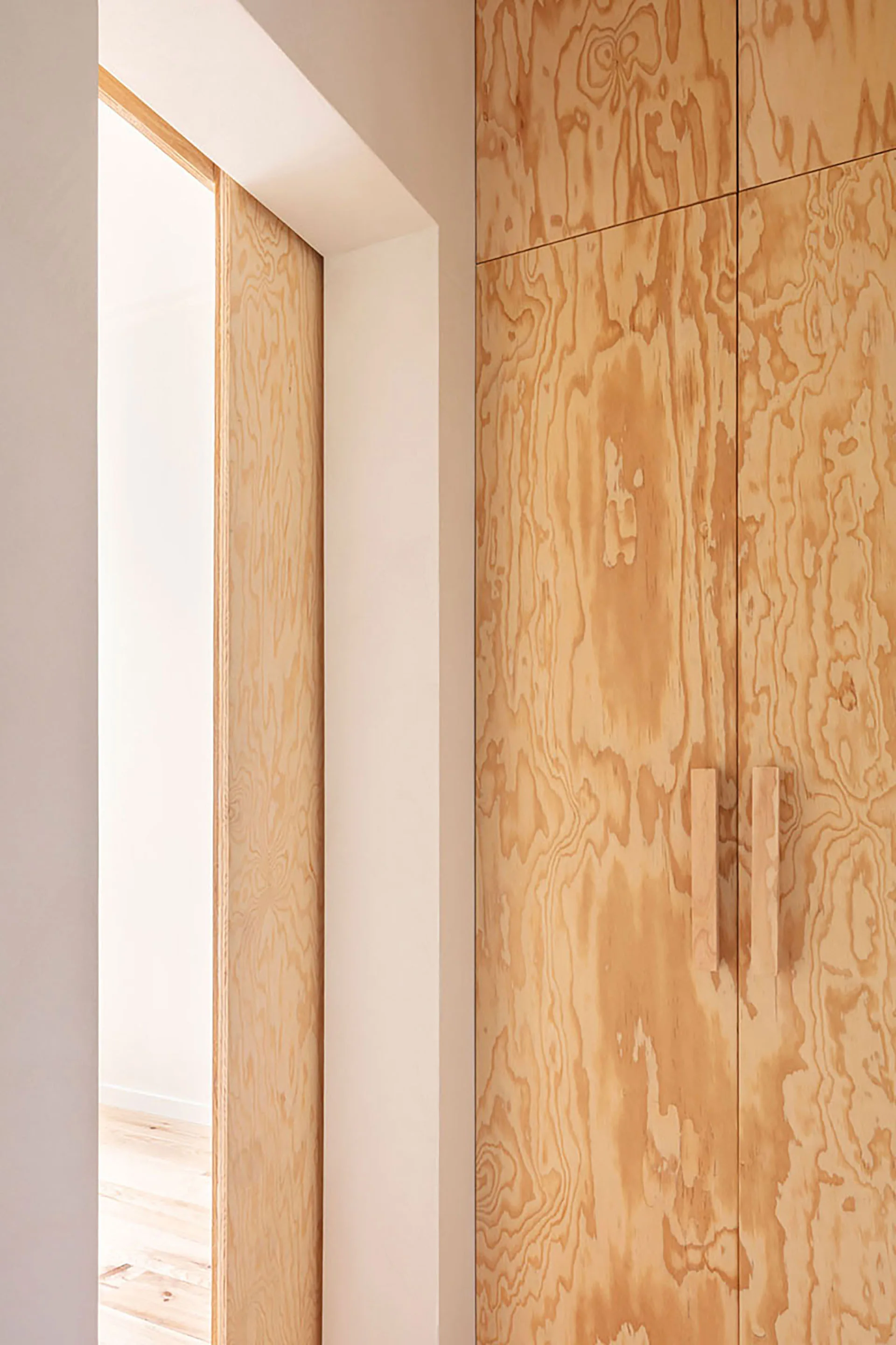Floor-to-ceiling plywood cabinetry with a visible wood grain and matching vertical handles stands next to an open doorway in a minimalist home.