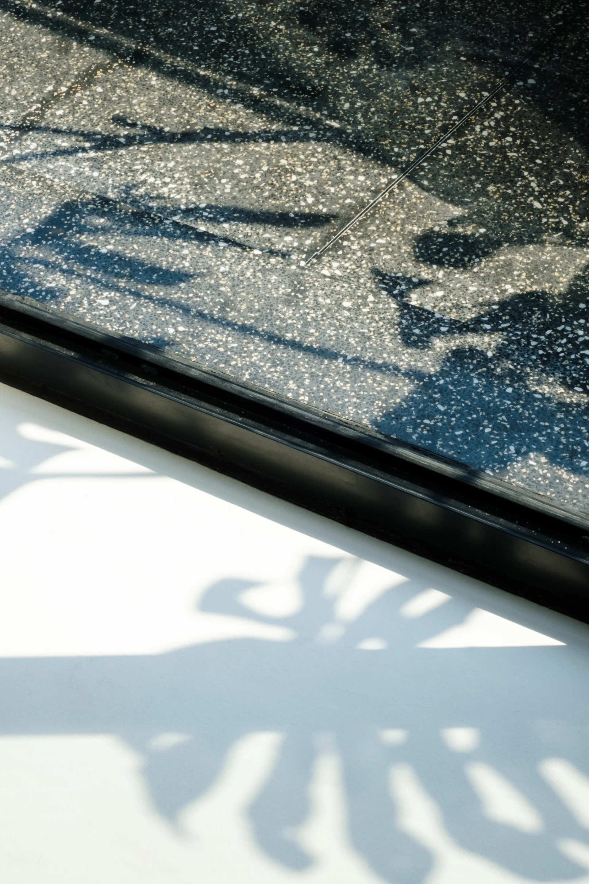 A close-up of a dark speckled terrazzo floor and a smooth white surface divided by a slim black metal threshold under leaf-shaped shadows.