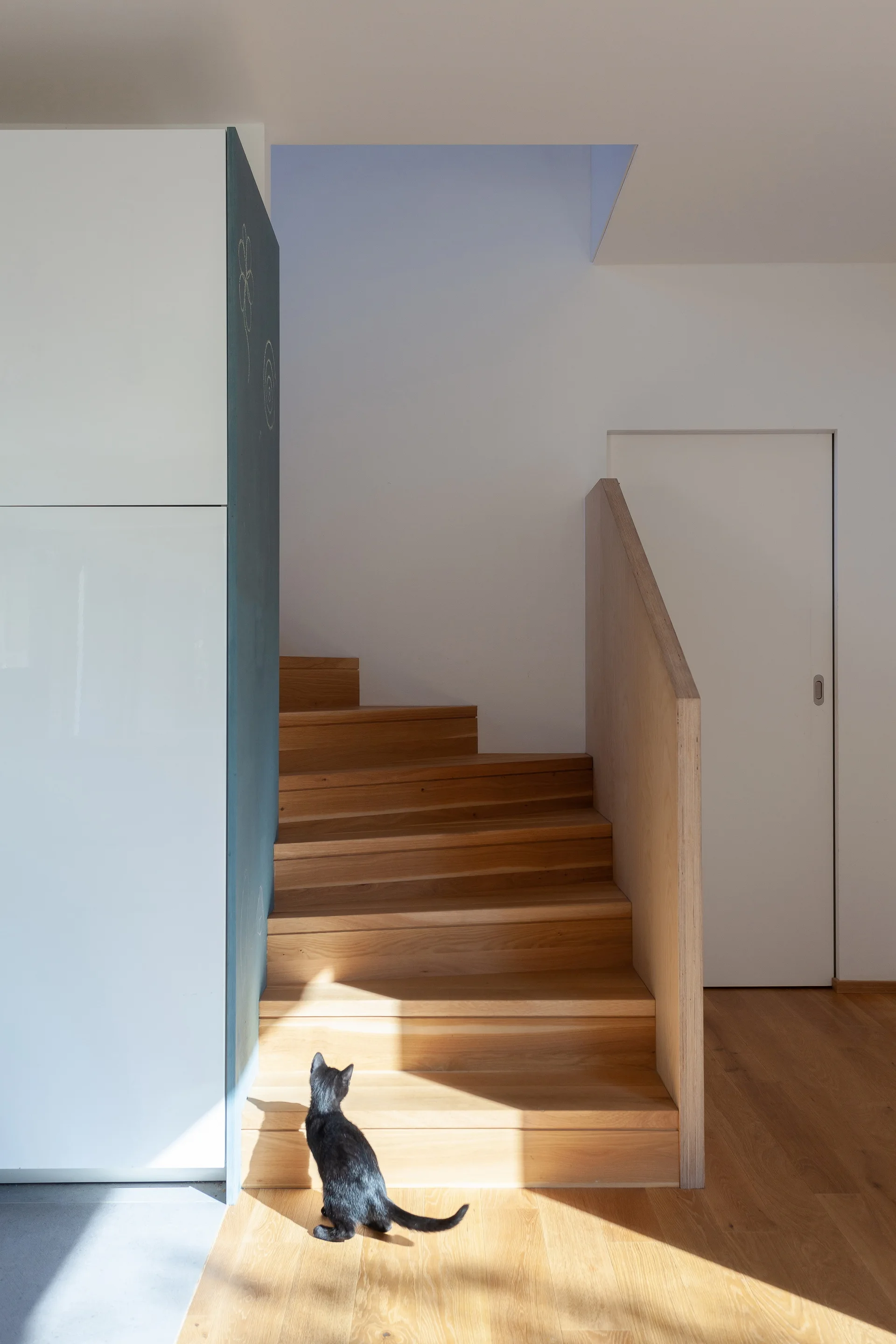 A modern wood staircase features a solid plywood balustrade, a white sliding door, and a black cat sitting on the bottom step in the sunlight.